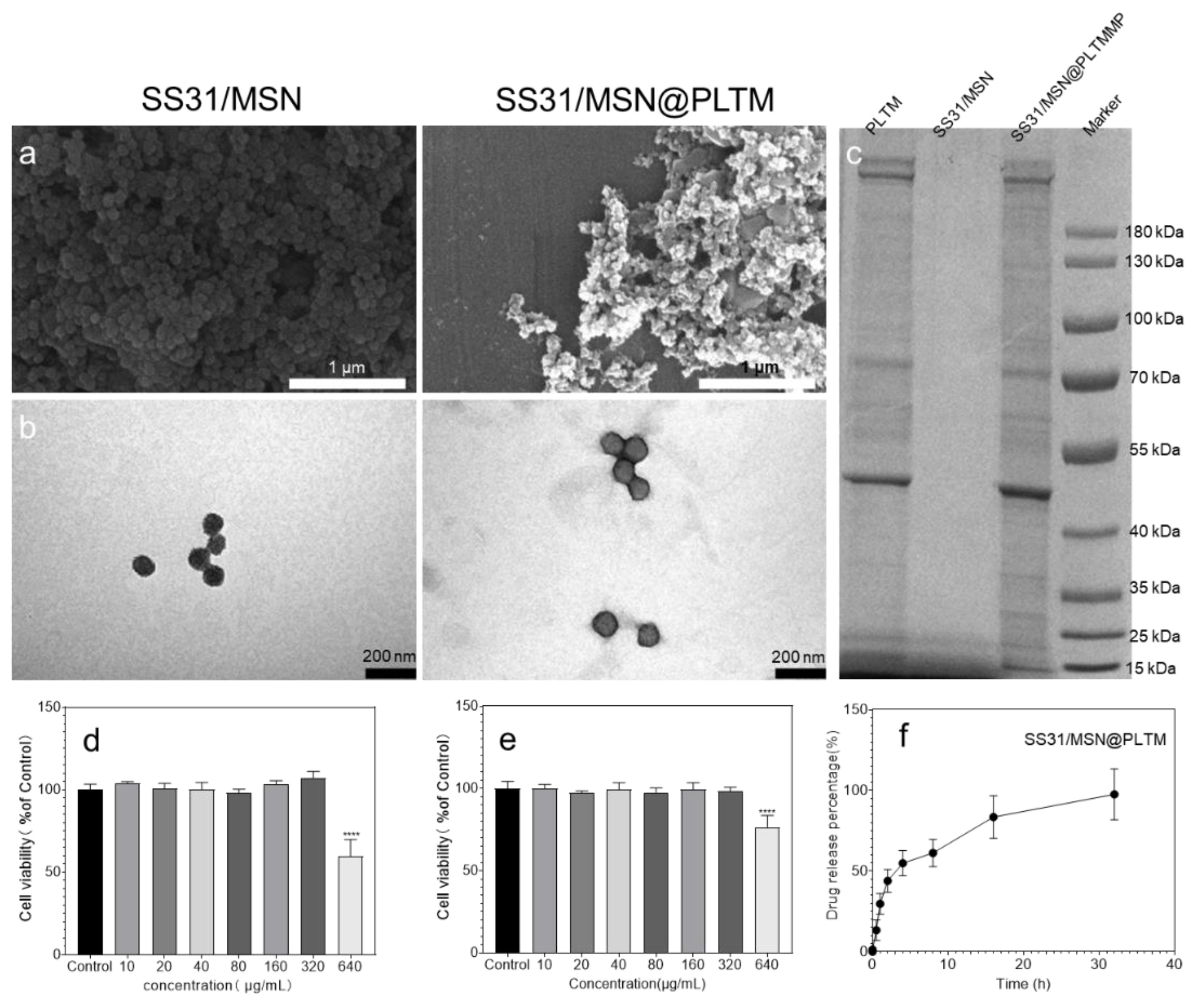 Jfb 13 00181 g002 Jfb 13 00181 g002