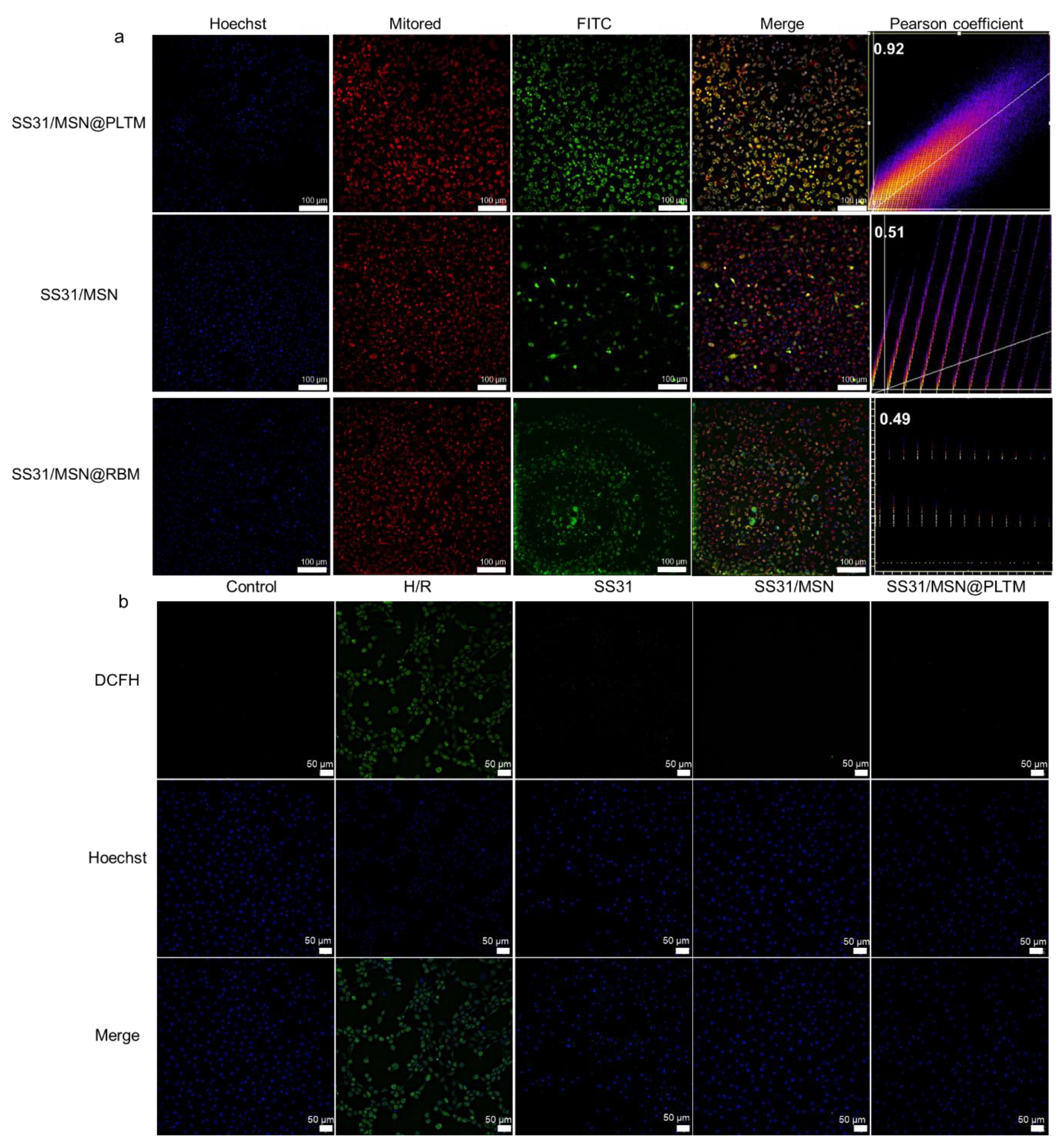 Jfb 13 00181 g003 Jfb 13 00181 g003