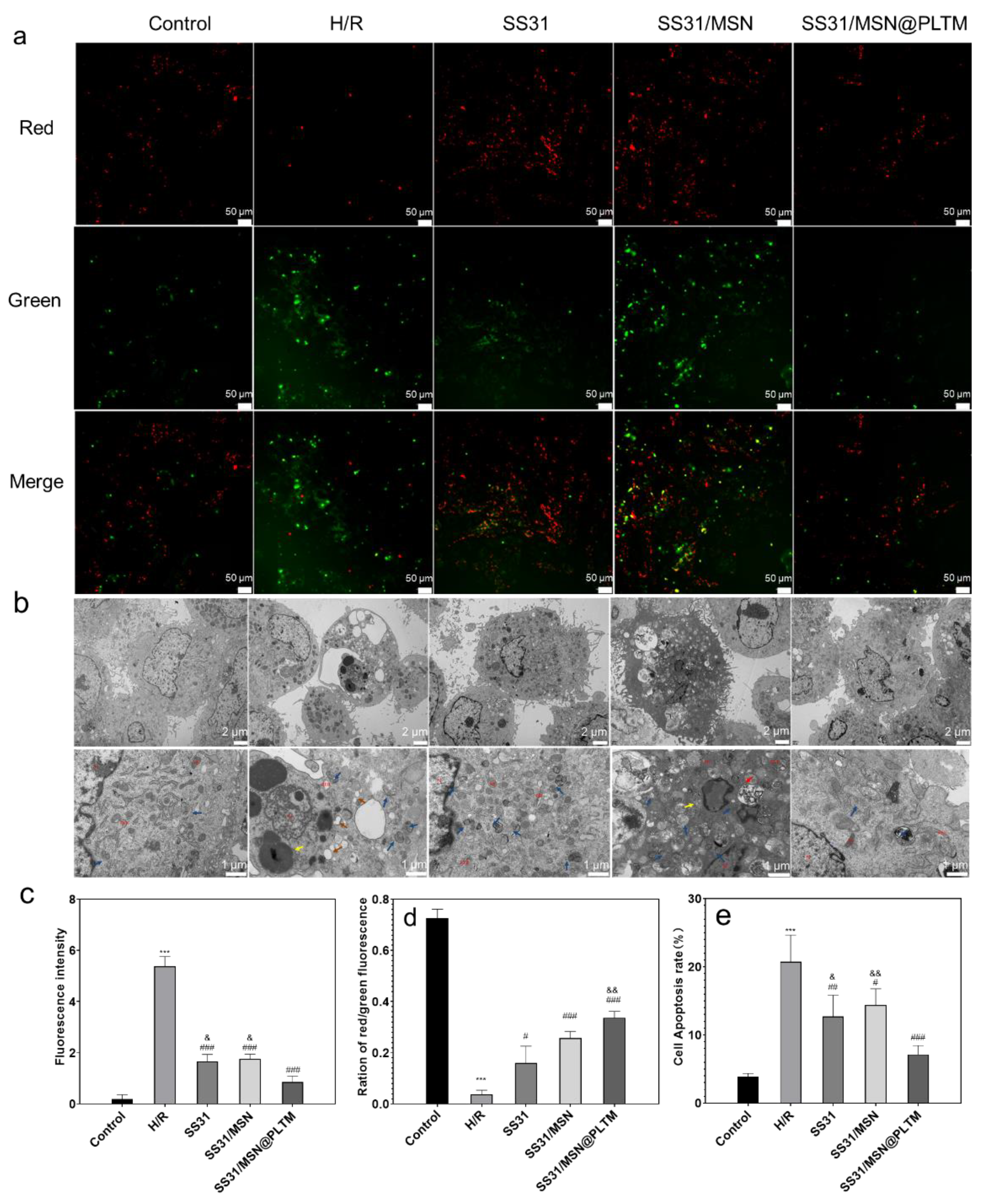 Jfb 13 00181 g004 Jfb 13 00181 g004