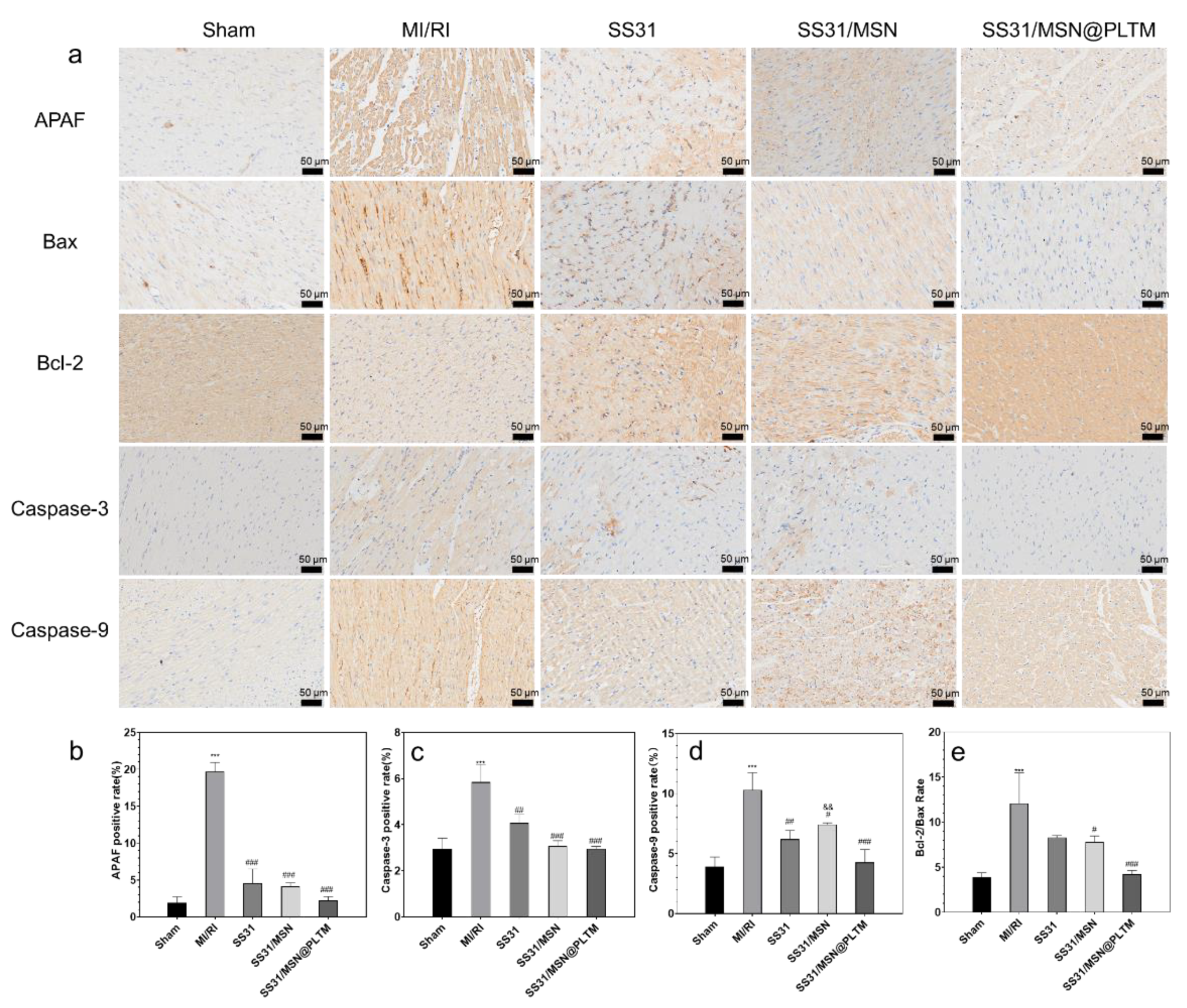 Jfb 13 00181 g006 Jfb 13 00181 g006
