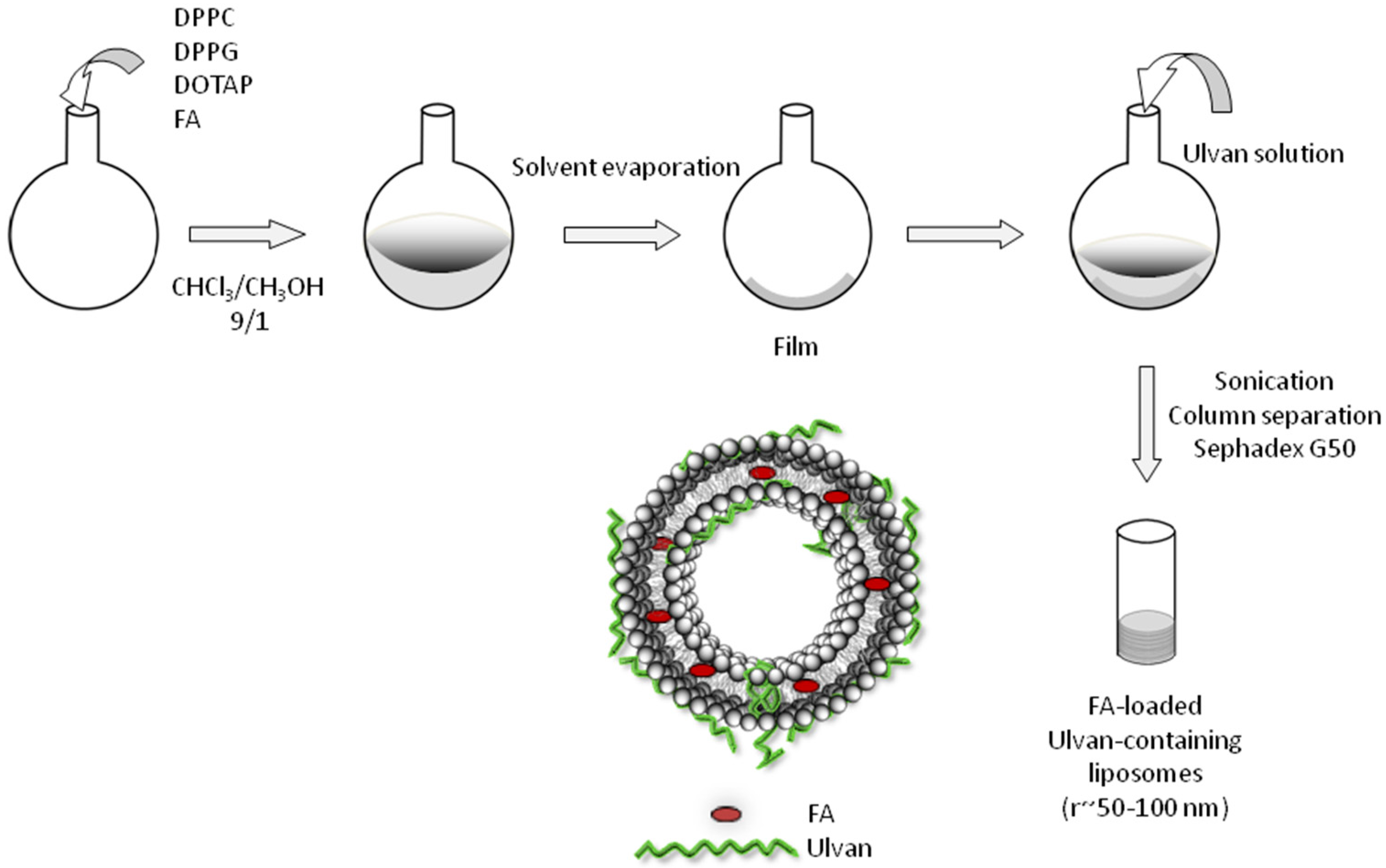 Jfb 13 00186 sch002 Jfb 13 00186 sch002