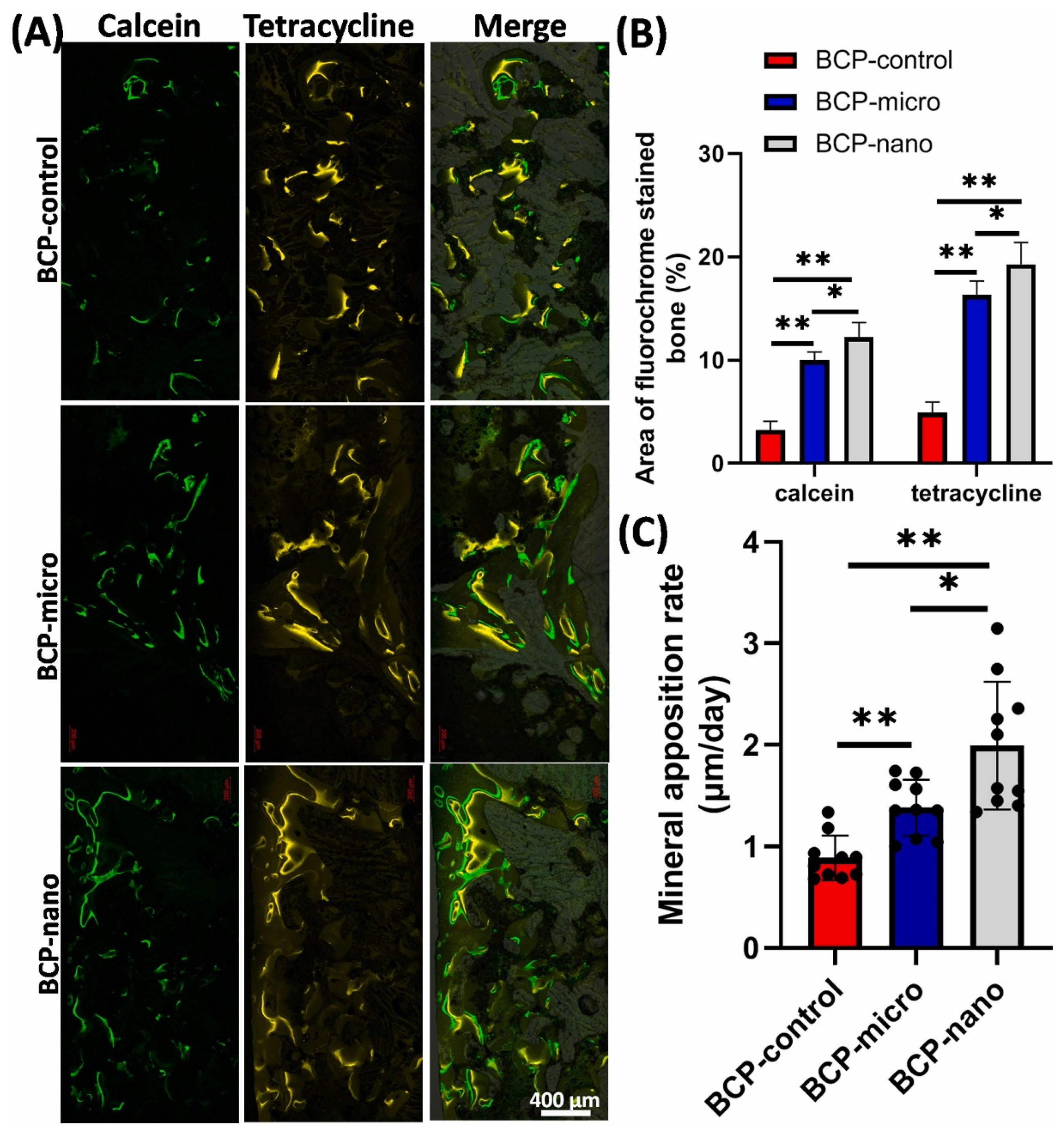 Jfb 13 00187 g006 Jfb 13 00187 g006