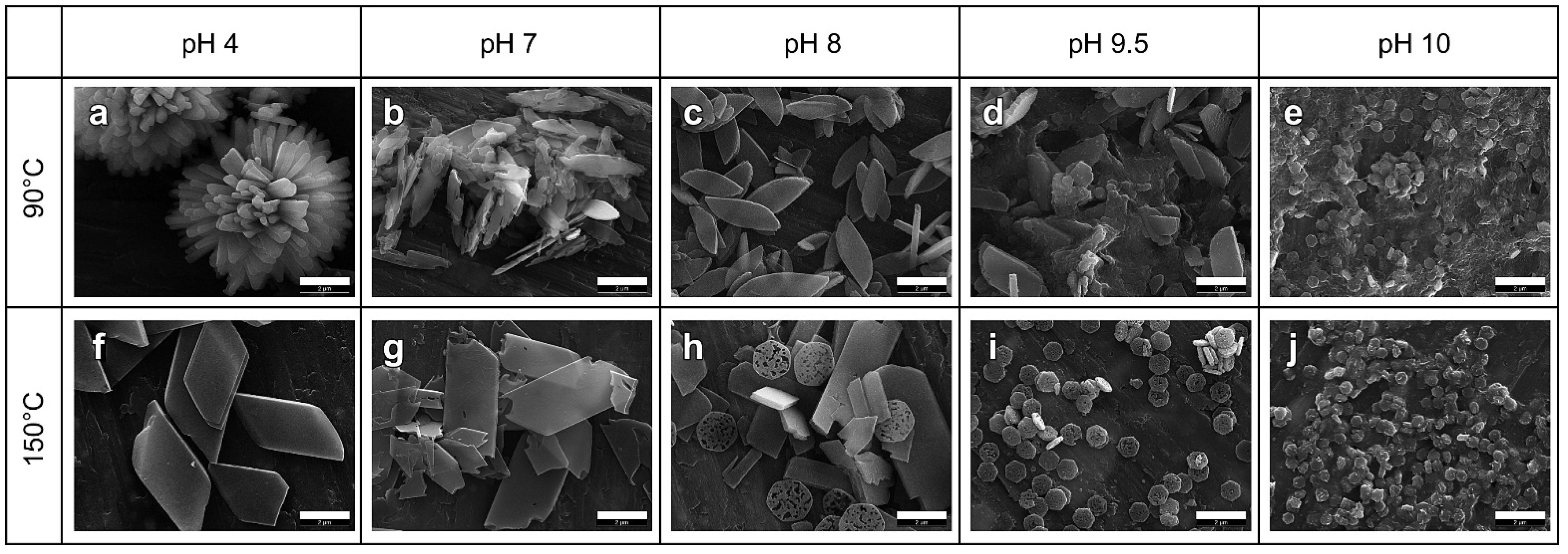 Jfb 13 00187 g008 Jfb 13 00187 g008