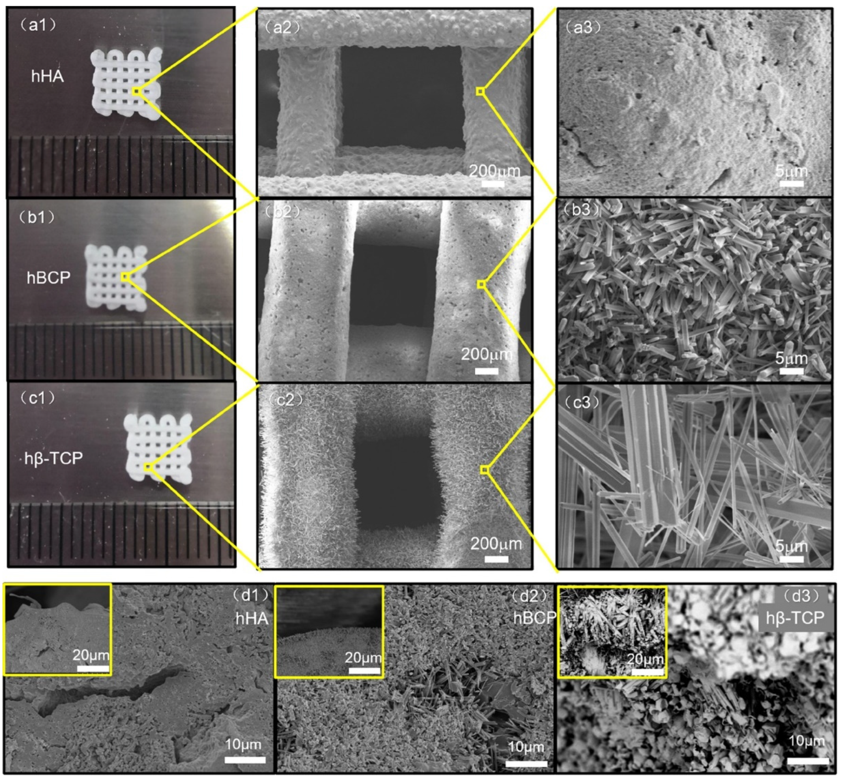 Jfb 13 00187 g011 Jfb 13 00187 g011