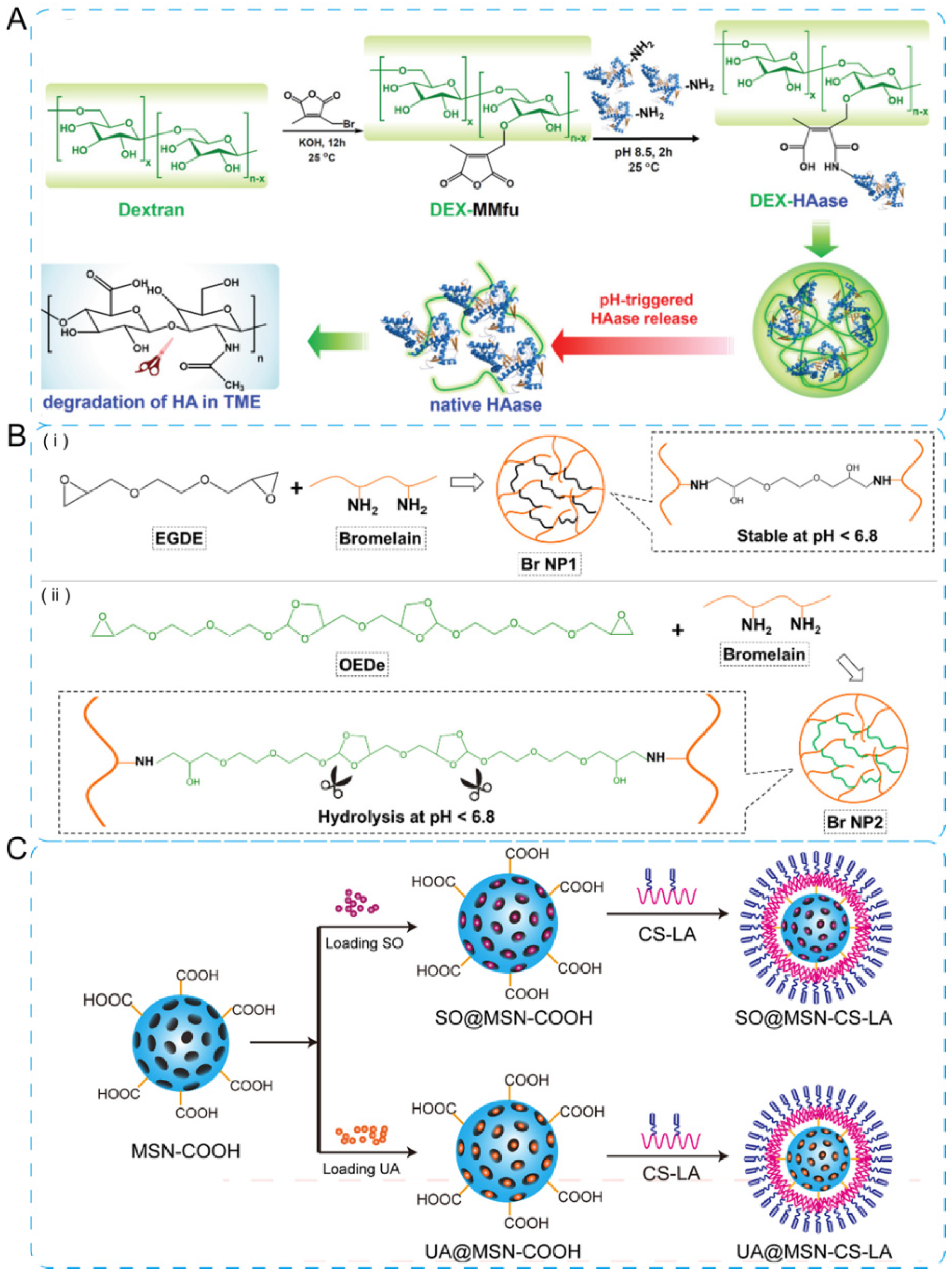 Jfb 13 00188 g002 Jfb 13 00188 g002