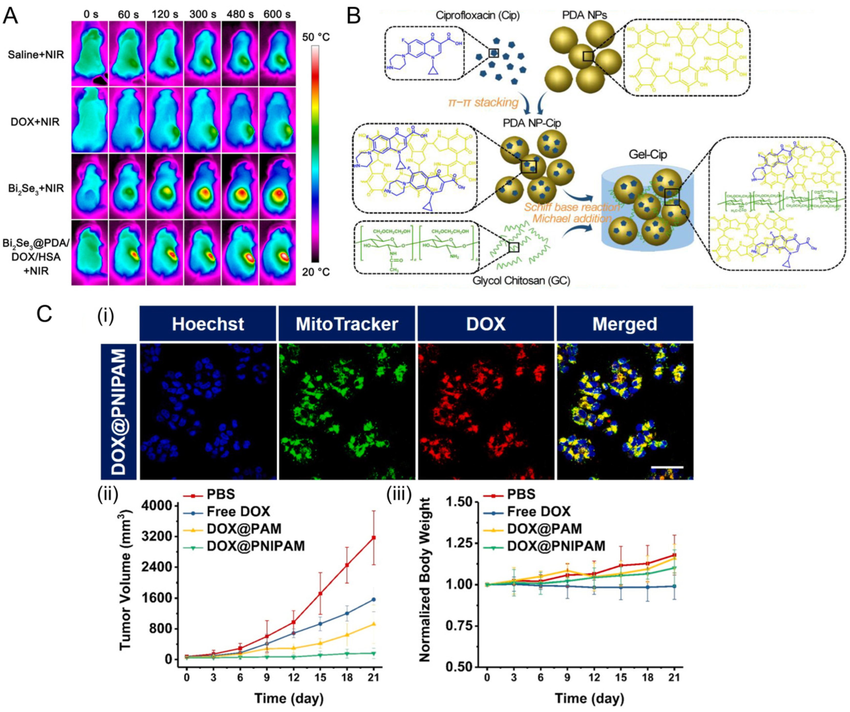Jfb 13 00188 g003 Jfb 13 00188 g003