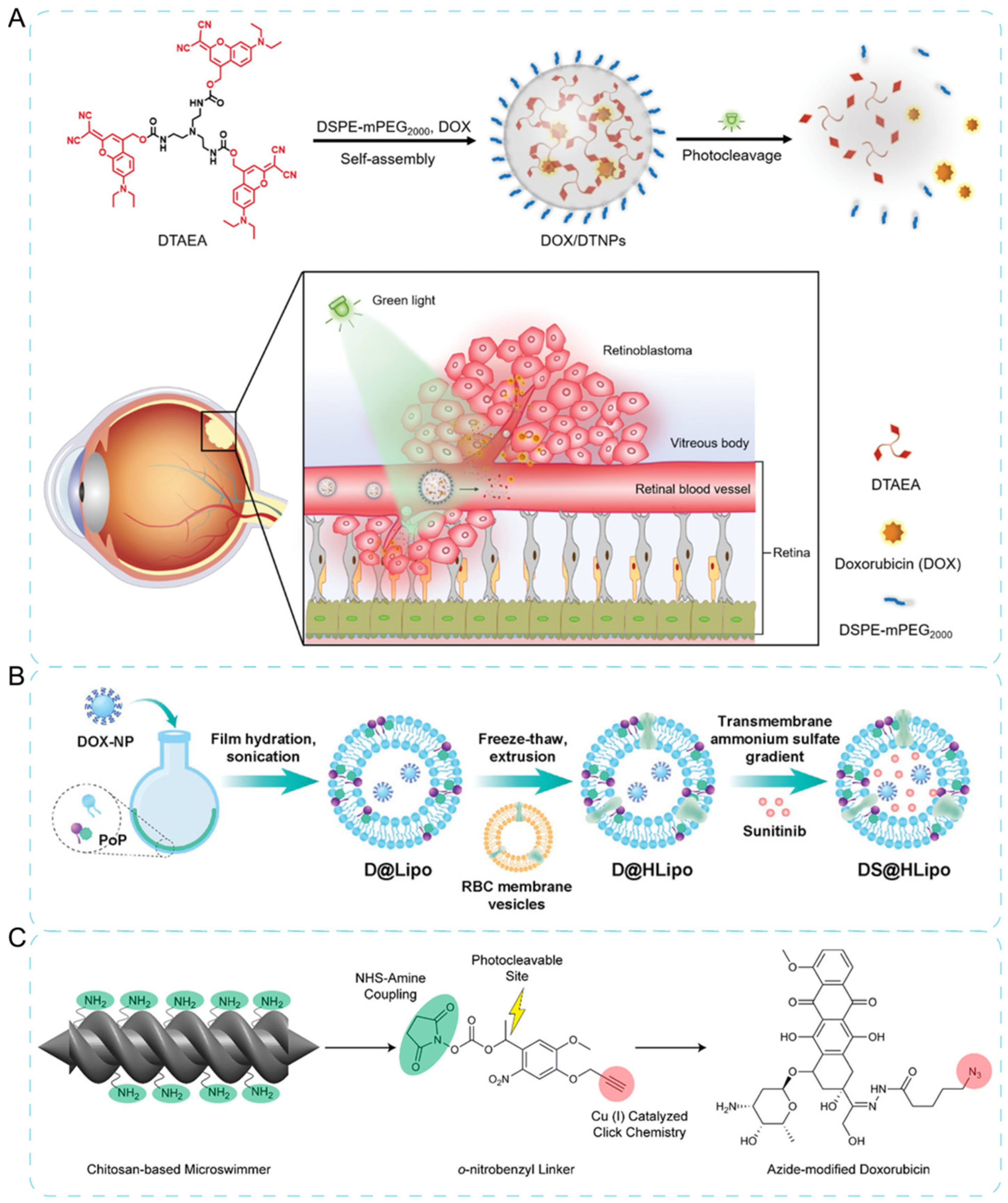 Jfb 13 00188 g004 Jfb 13 00188 g004