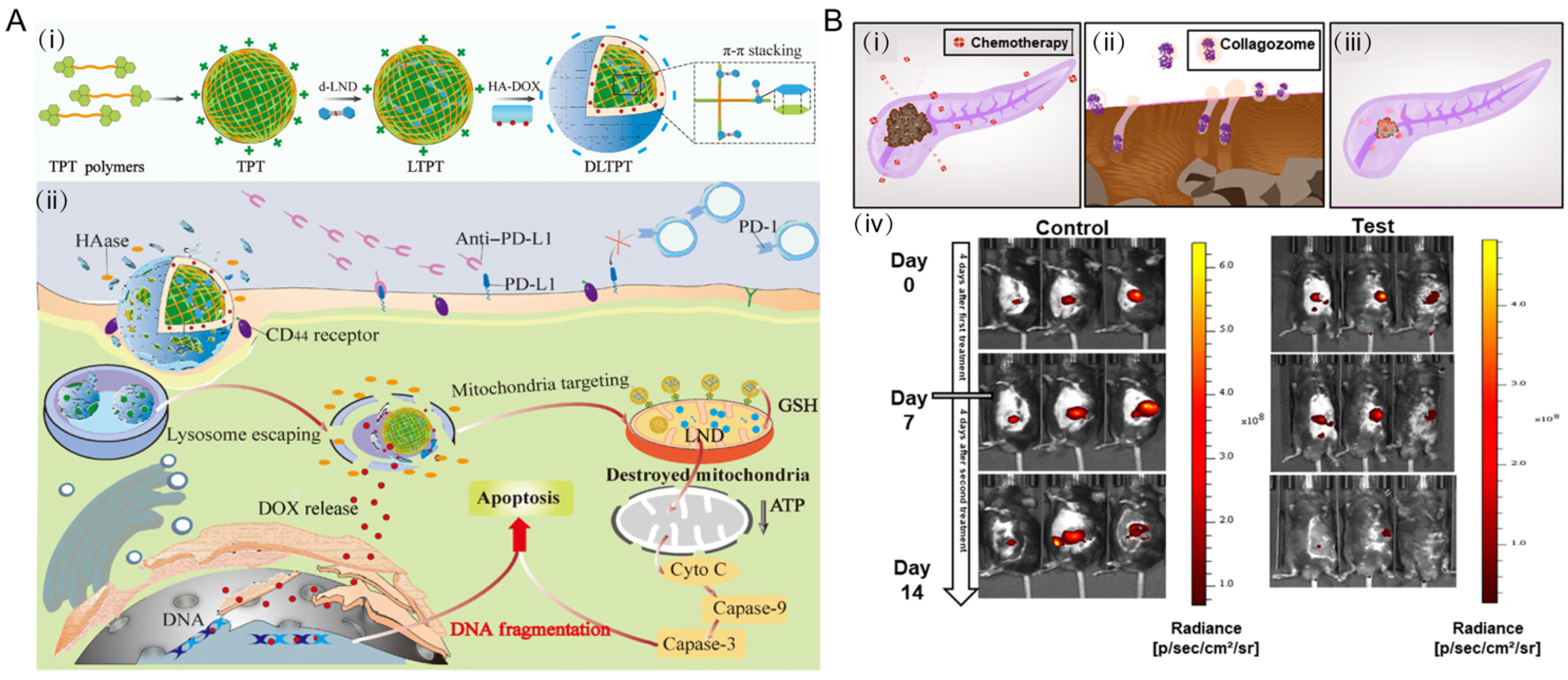Jfb 13 00188 g005 Jfb 13 00188 g005