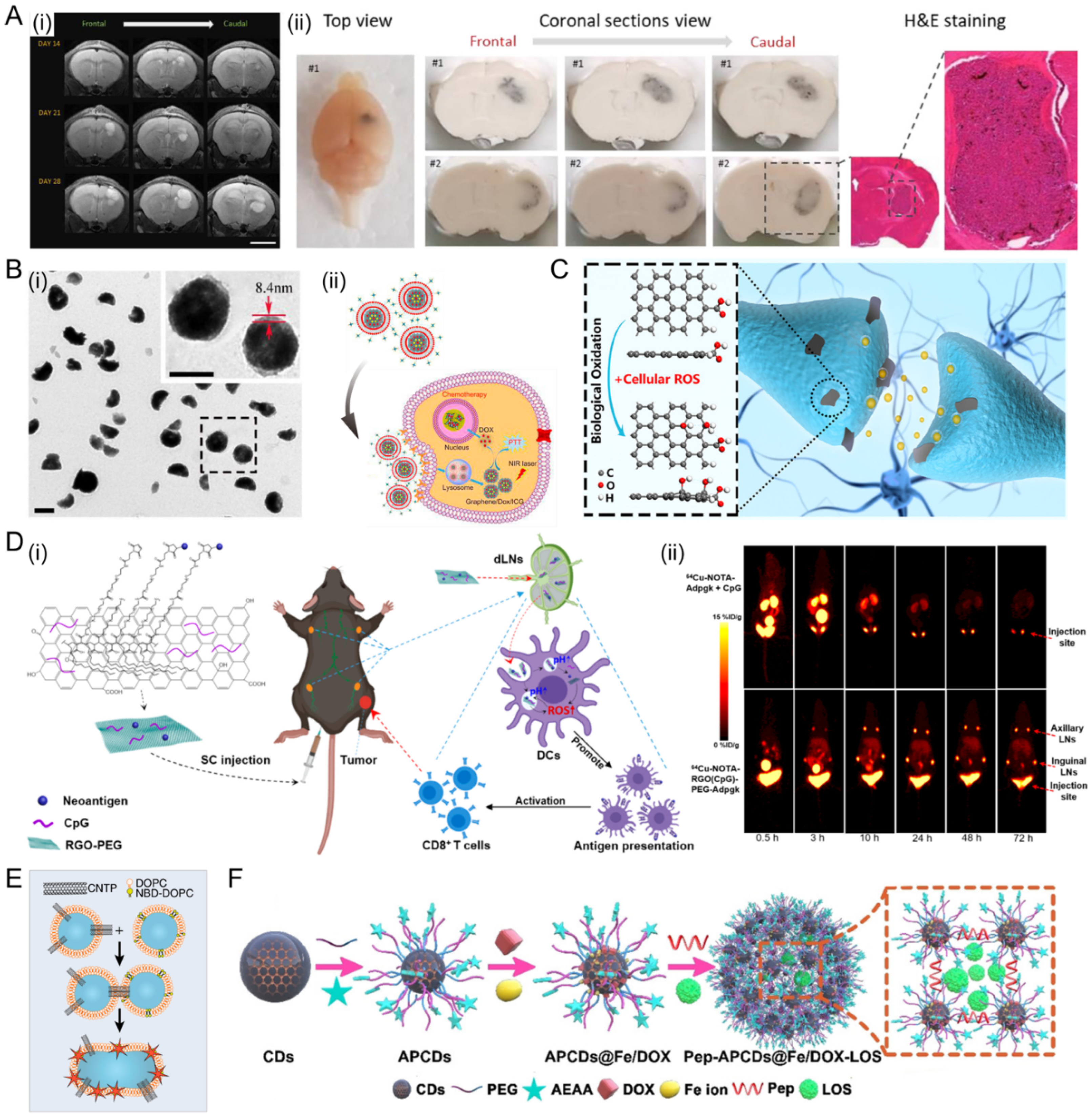 Jfb 13 00188 g006 Jfb 13 00188 g006