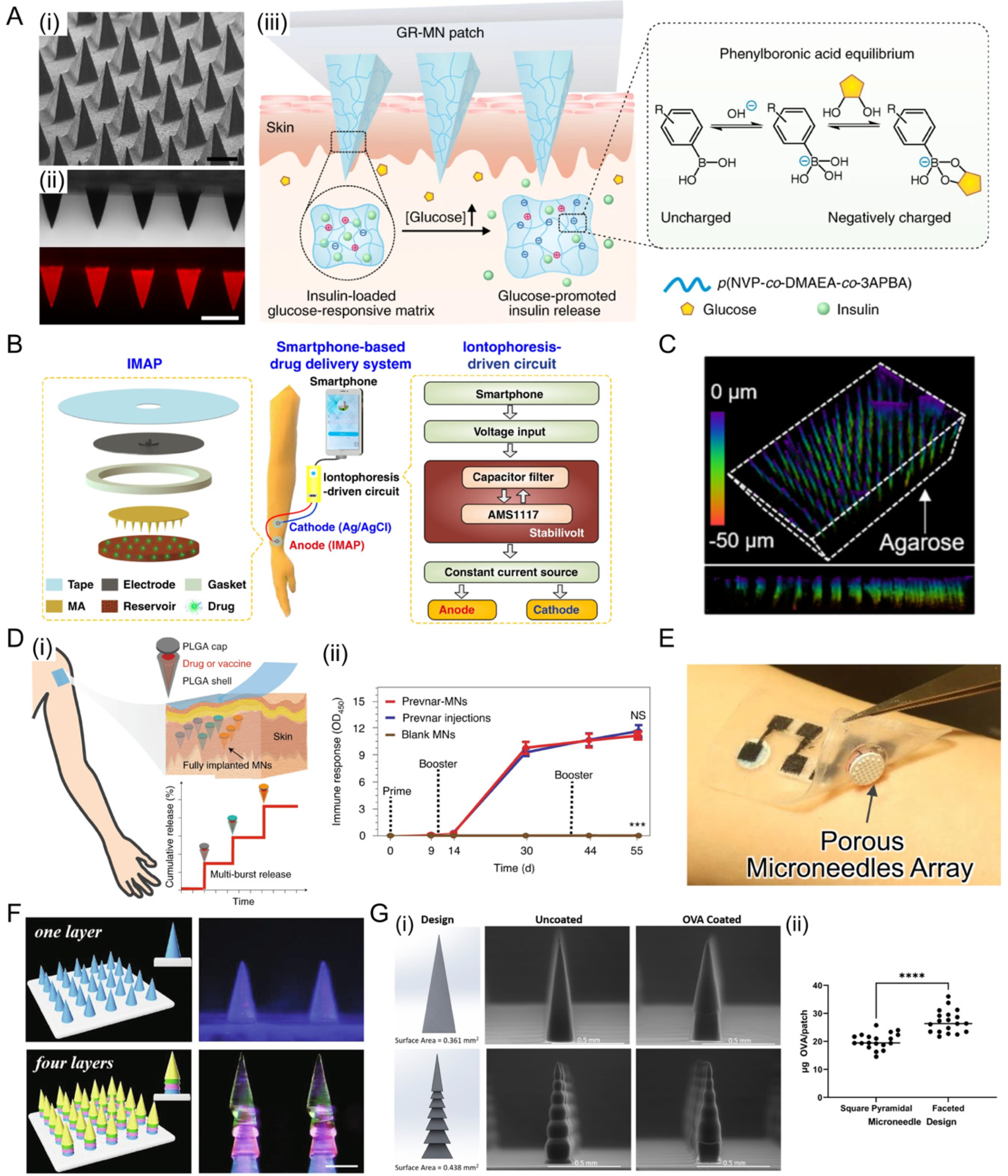 Jfb 13 00188 g007 Jfb 13 00188 g007