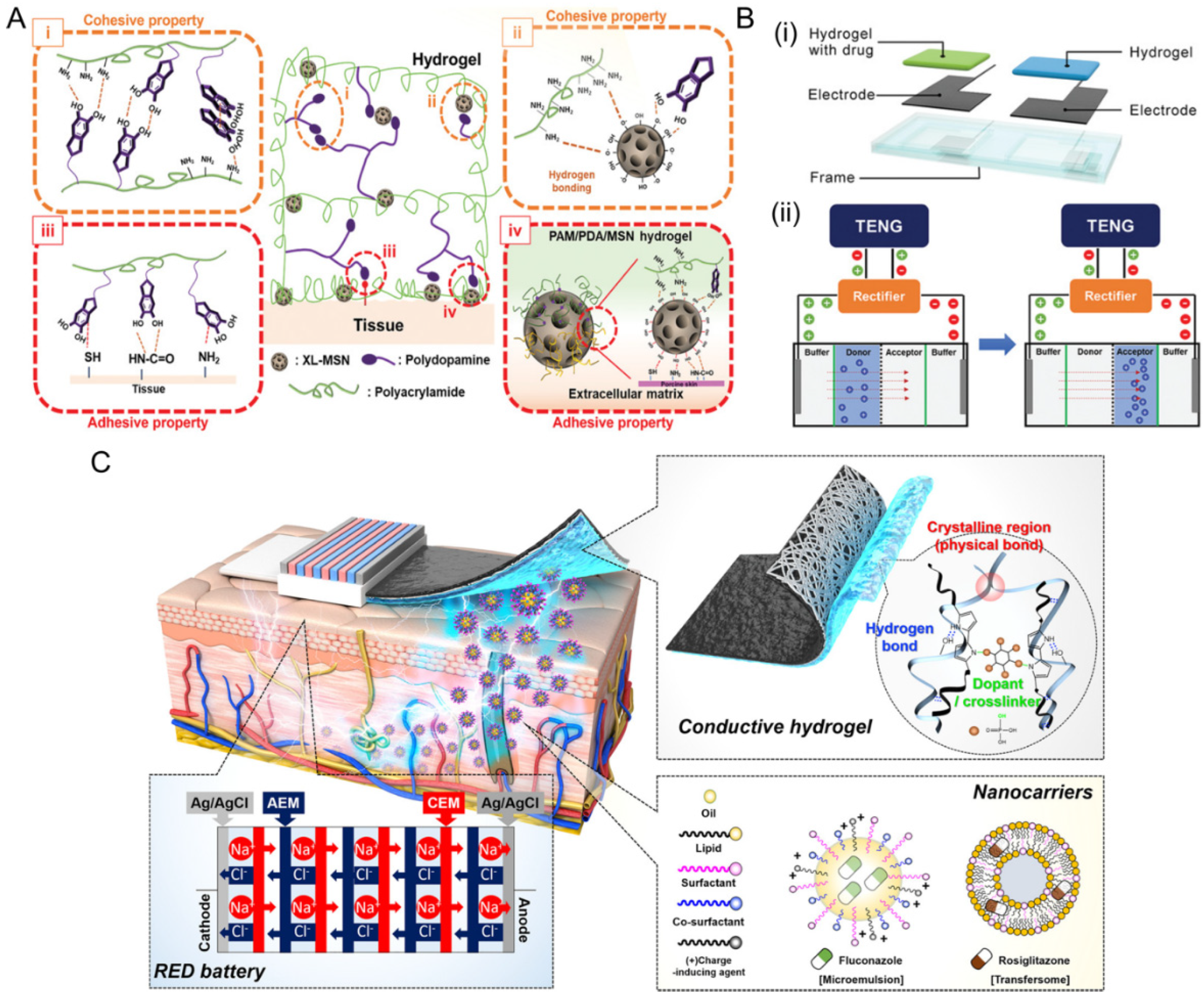 Jfb 13 00188 g008 Jfb 13 00188 g008