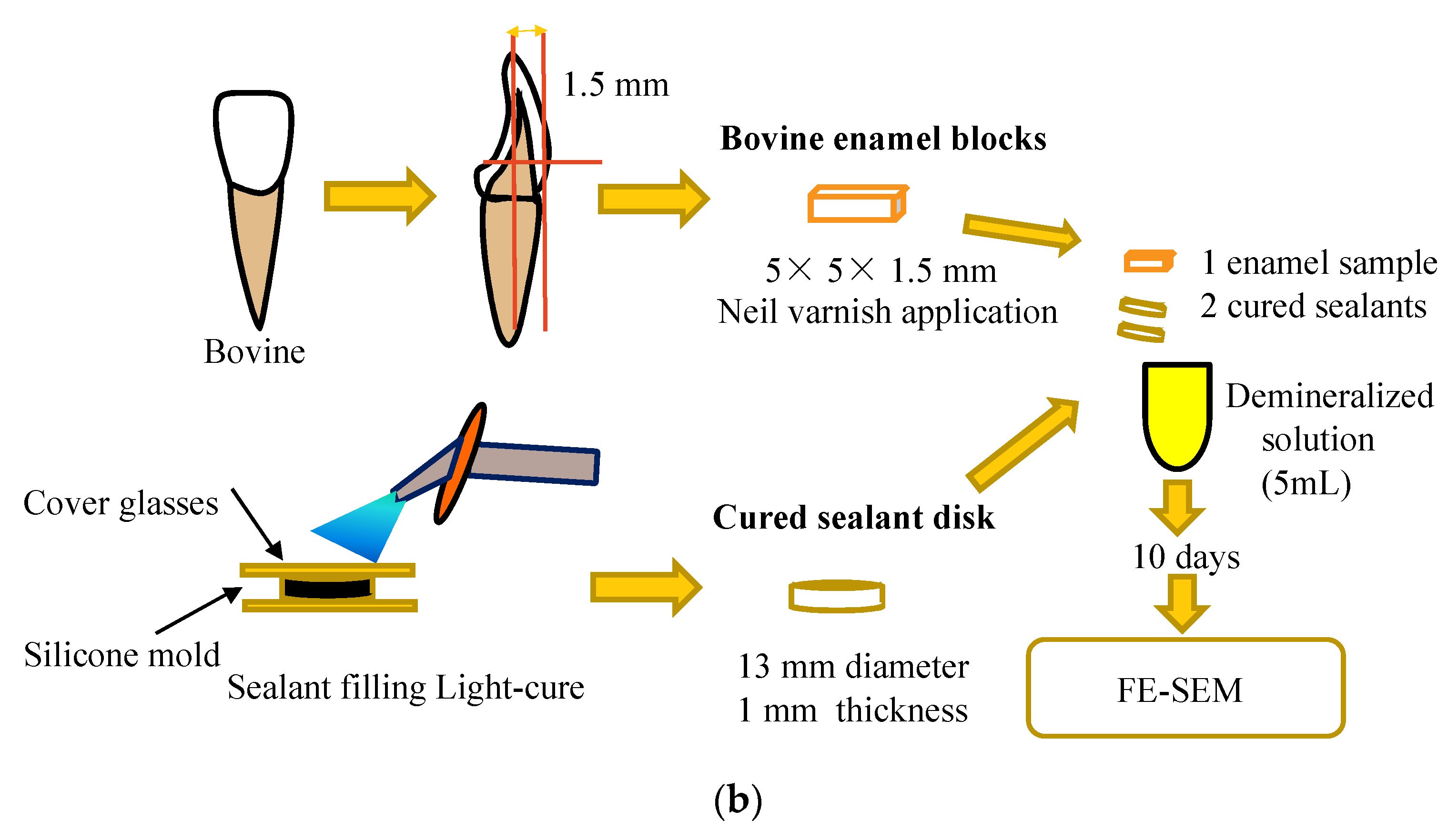 Jfb 13 00189 g001b Jfb 13 00189 g001b