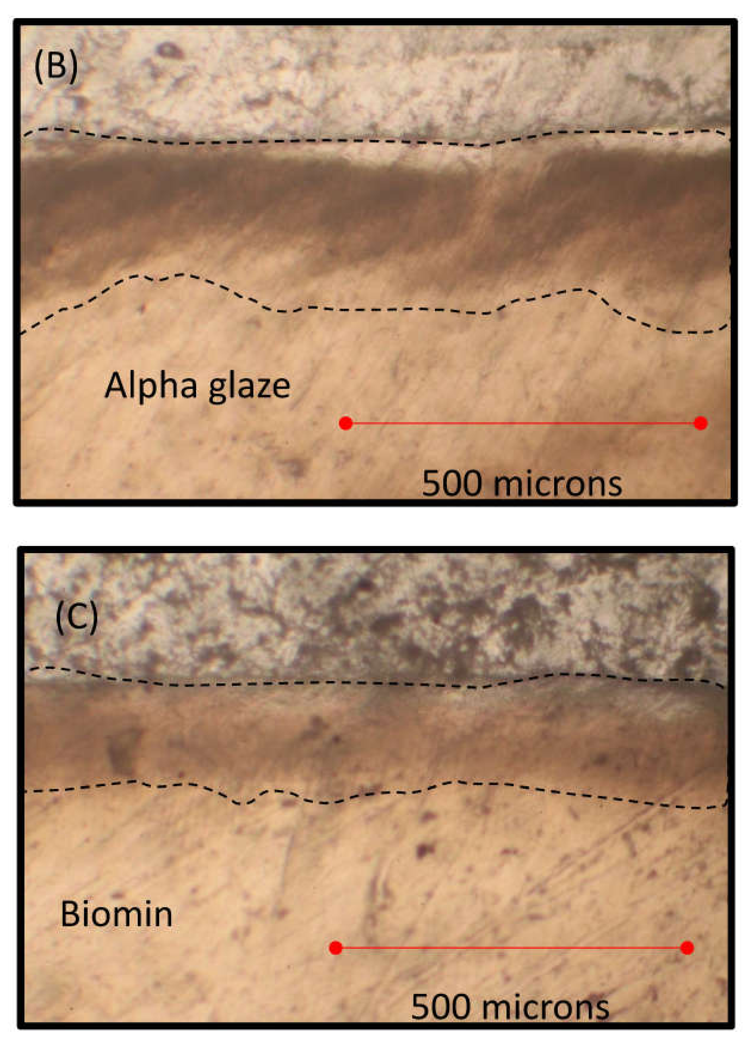 Jfb 13 00191 g003b Jfb 13 00191 g003b