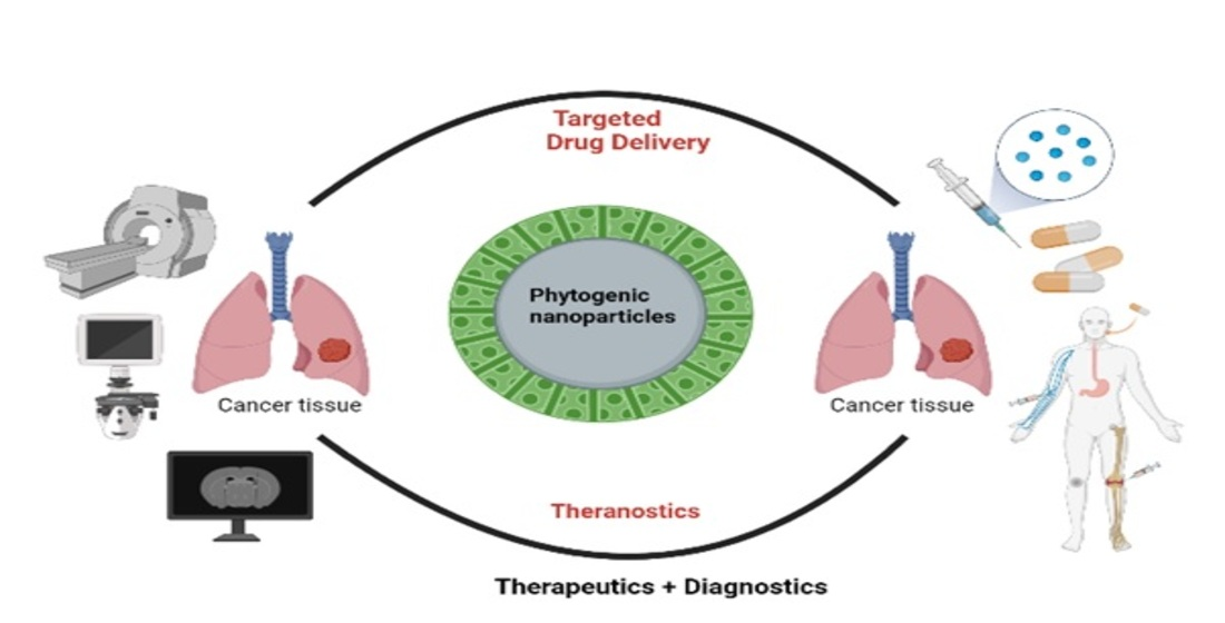 Cancer Drug Delivery And Targeting Comprehensive Review JFB | Free Full-Text | Bio-Inspired Smart Nanoparticles in Enhanced