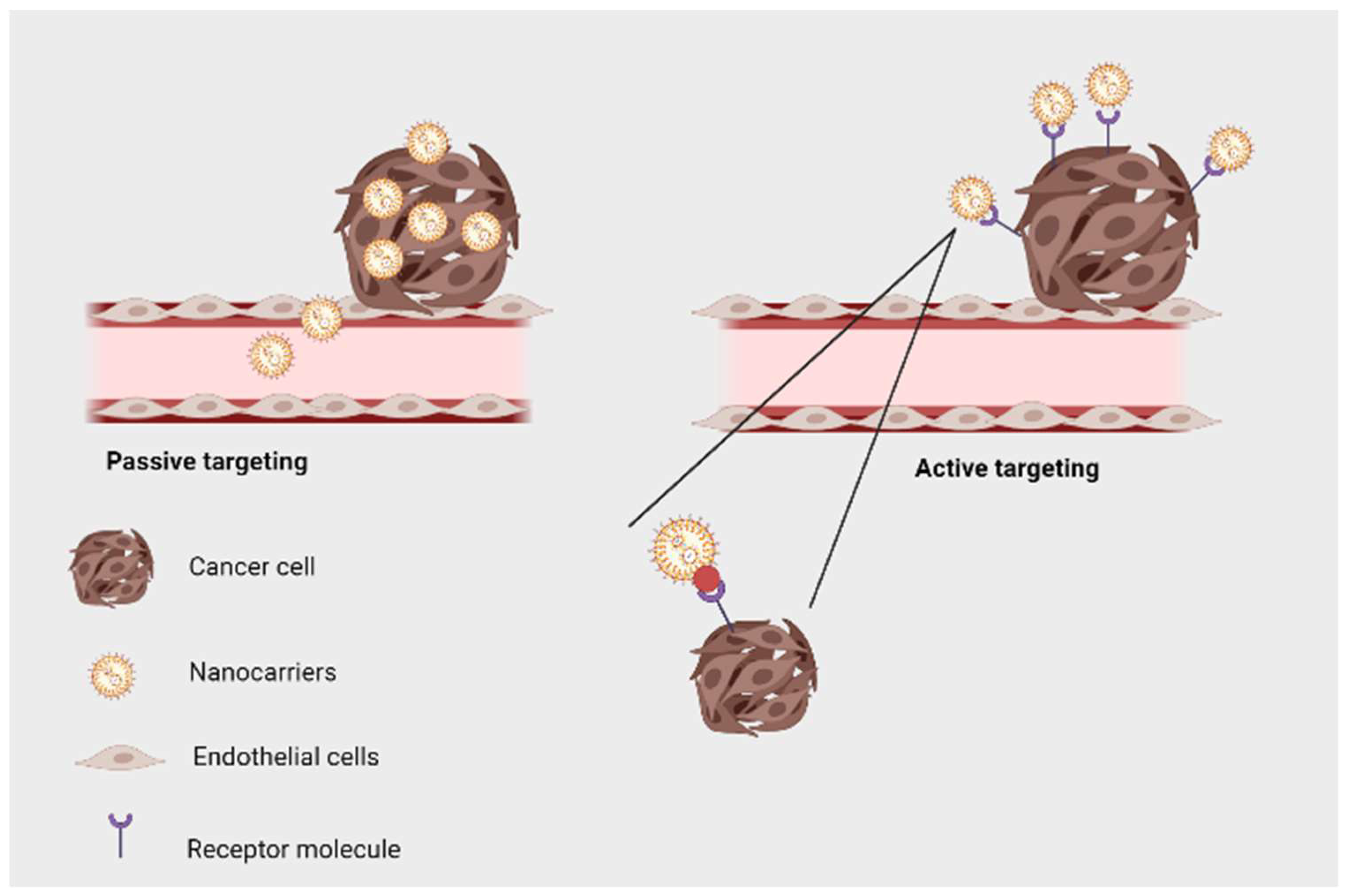 Jfb 13 00207 g003 Jfb 13 00207 g003