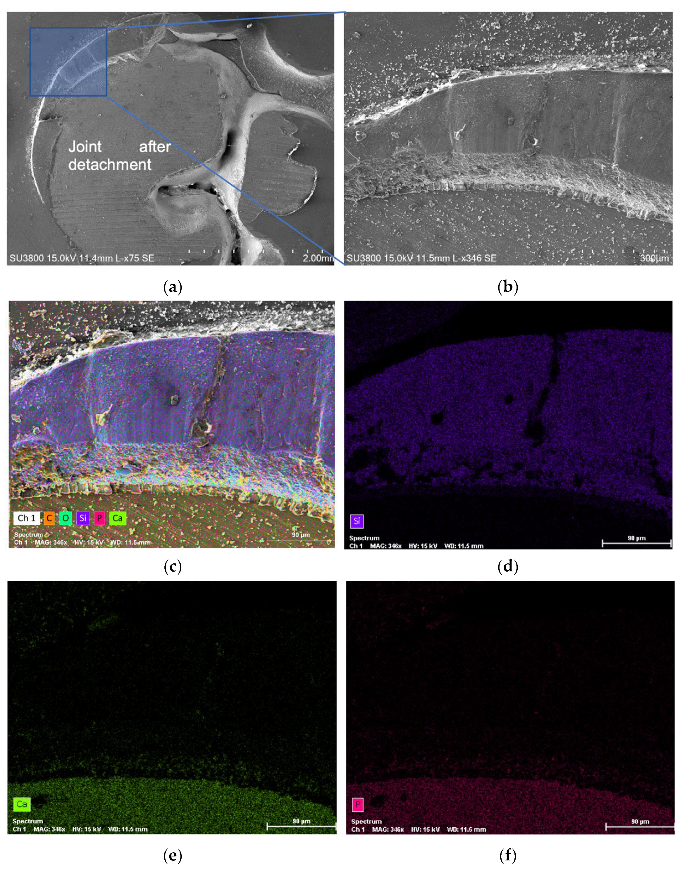 Jfb 13 00209 g006 Jfb 13 00209 g006