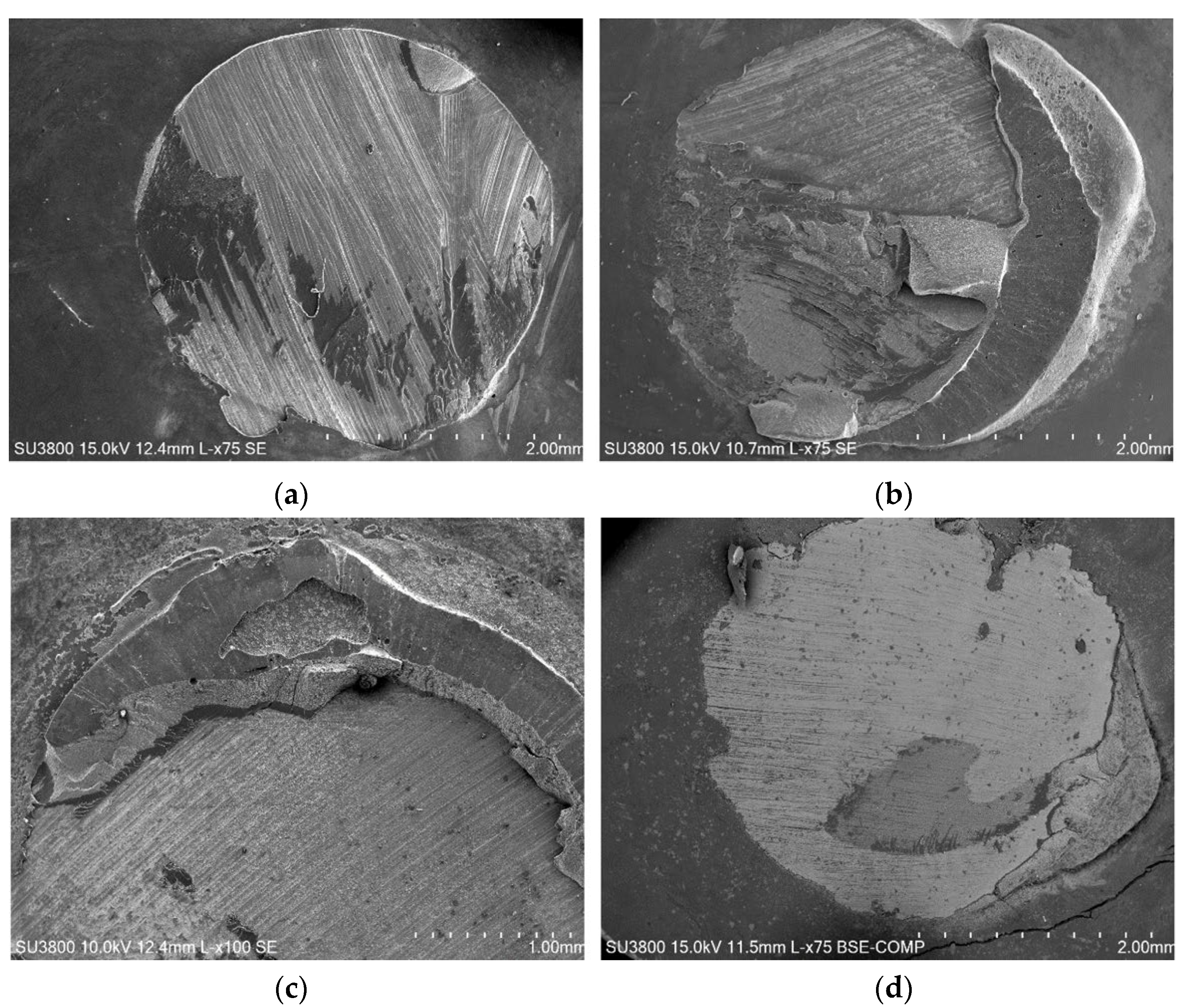 Jfb 13 00209 g007a Jfb 13 00209 g007a