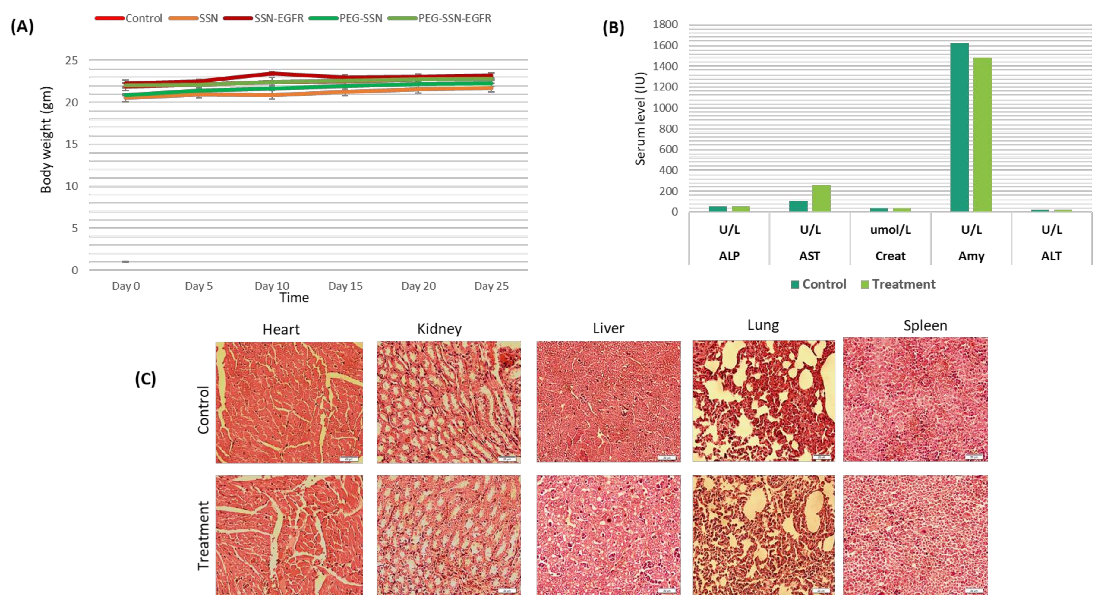 Jfb 13 00211 g013 Jfb 13 00211 g013