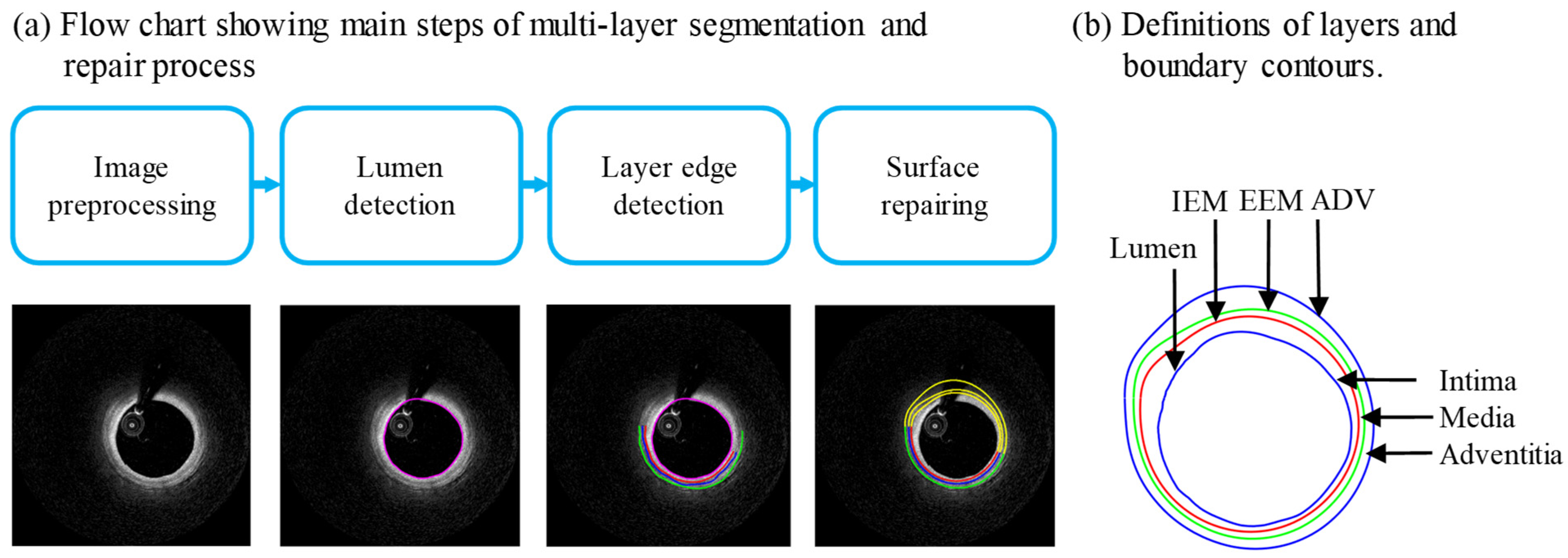 Jfb 13 00213 g001 Jfb 13 00213 g001