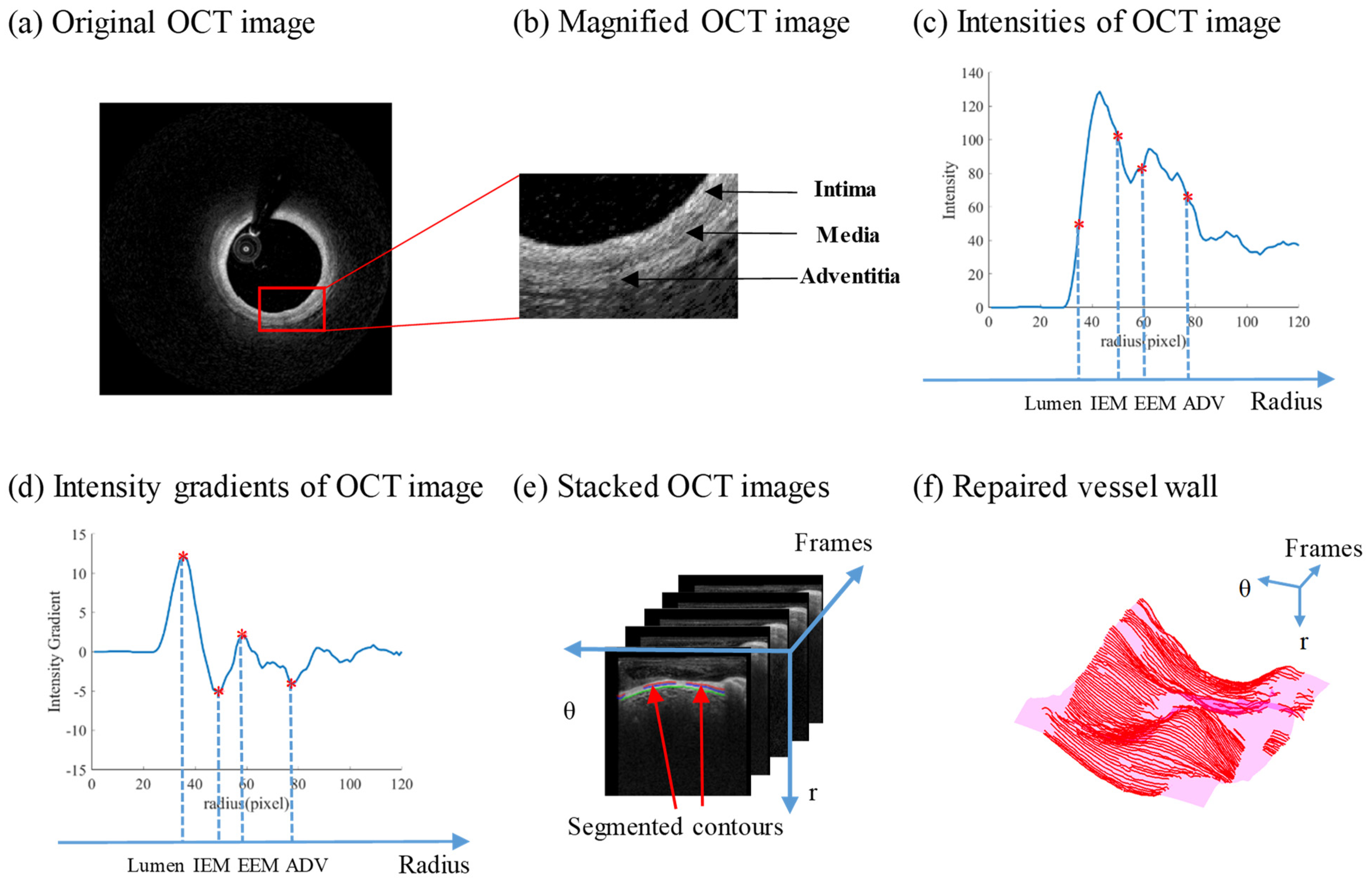 Jfb 13 00213 g003 Jfb 13 00213 g003