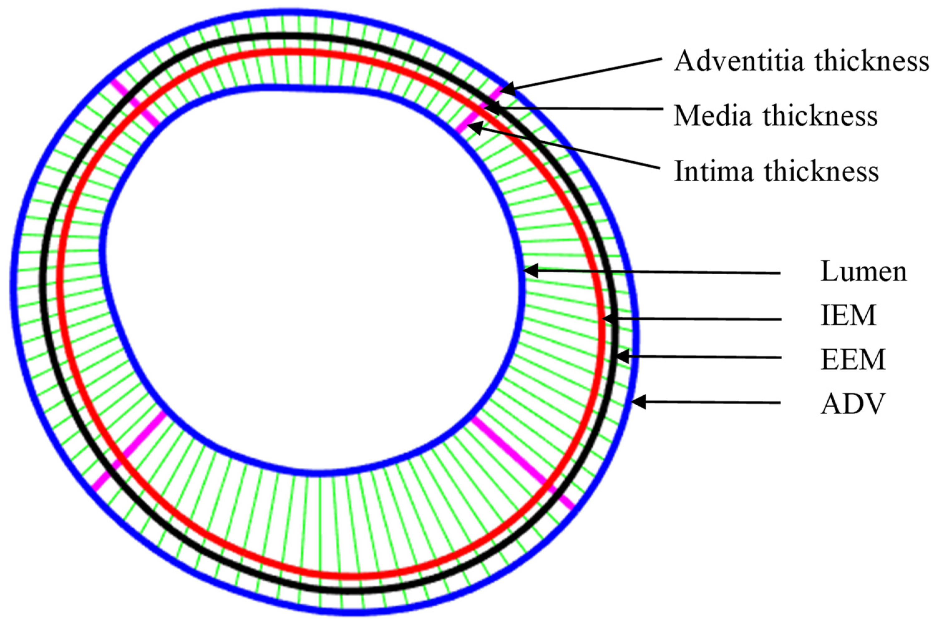 Jfb 13 00213 g005 Jfb 13 00213 g005