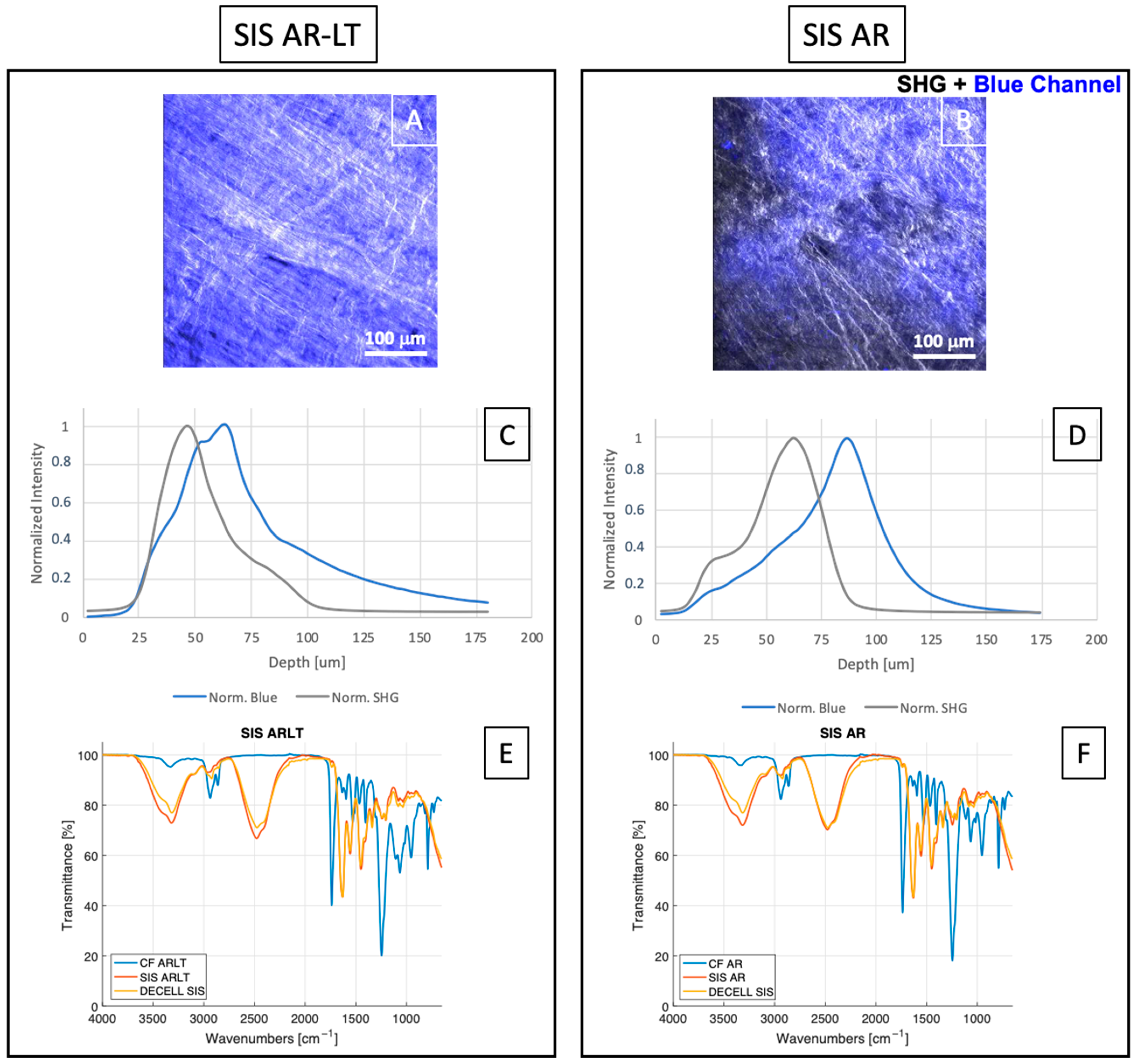 Jfb 13 00222 g003 Jfb 13 00222 g003