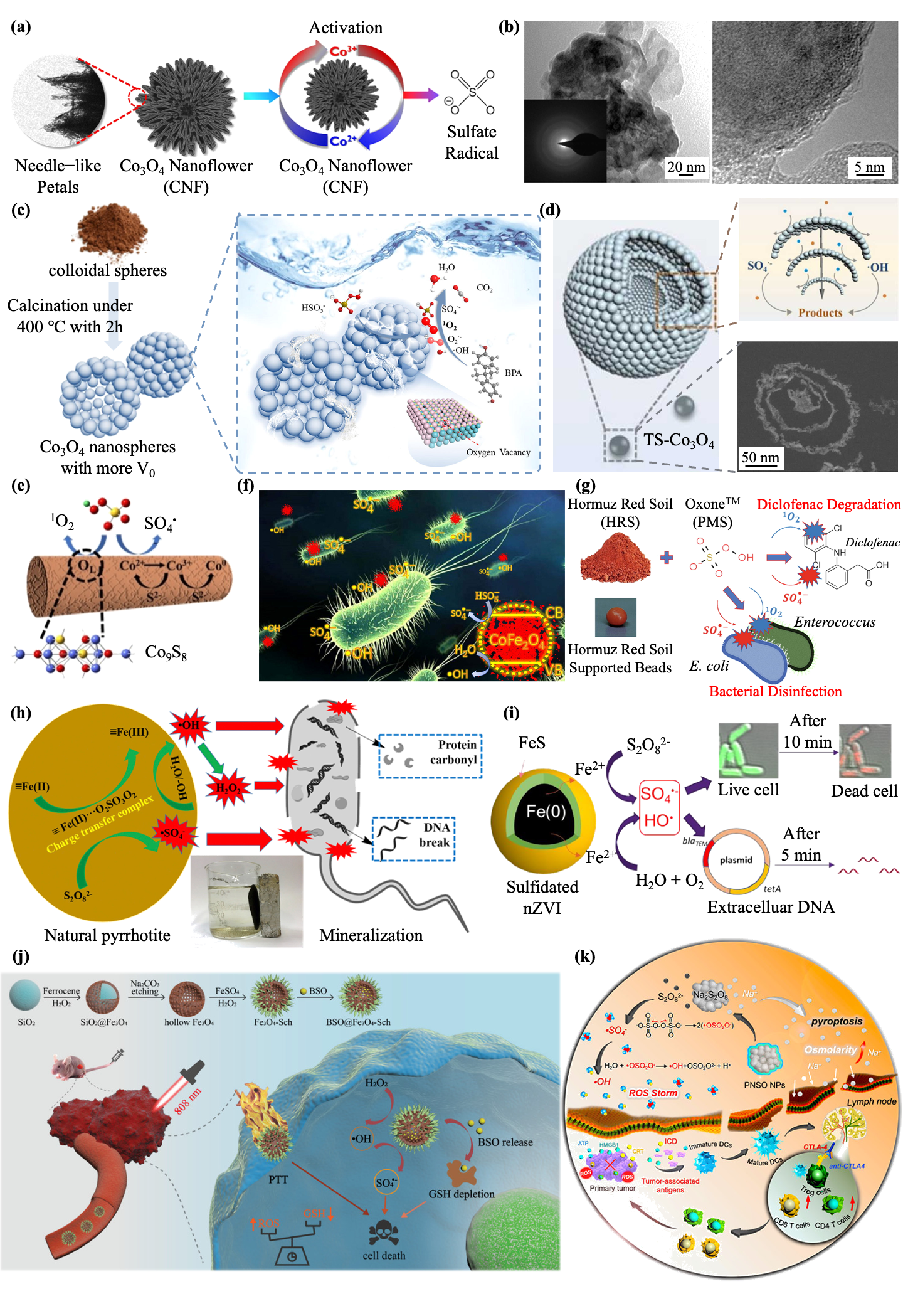 Jfb 13 00227 g002 Jfb 13 00227 g002