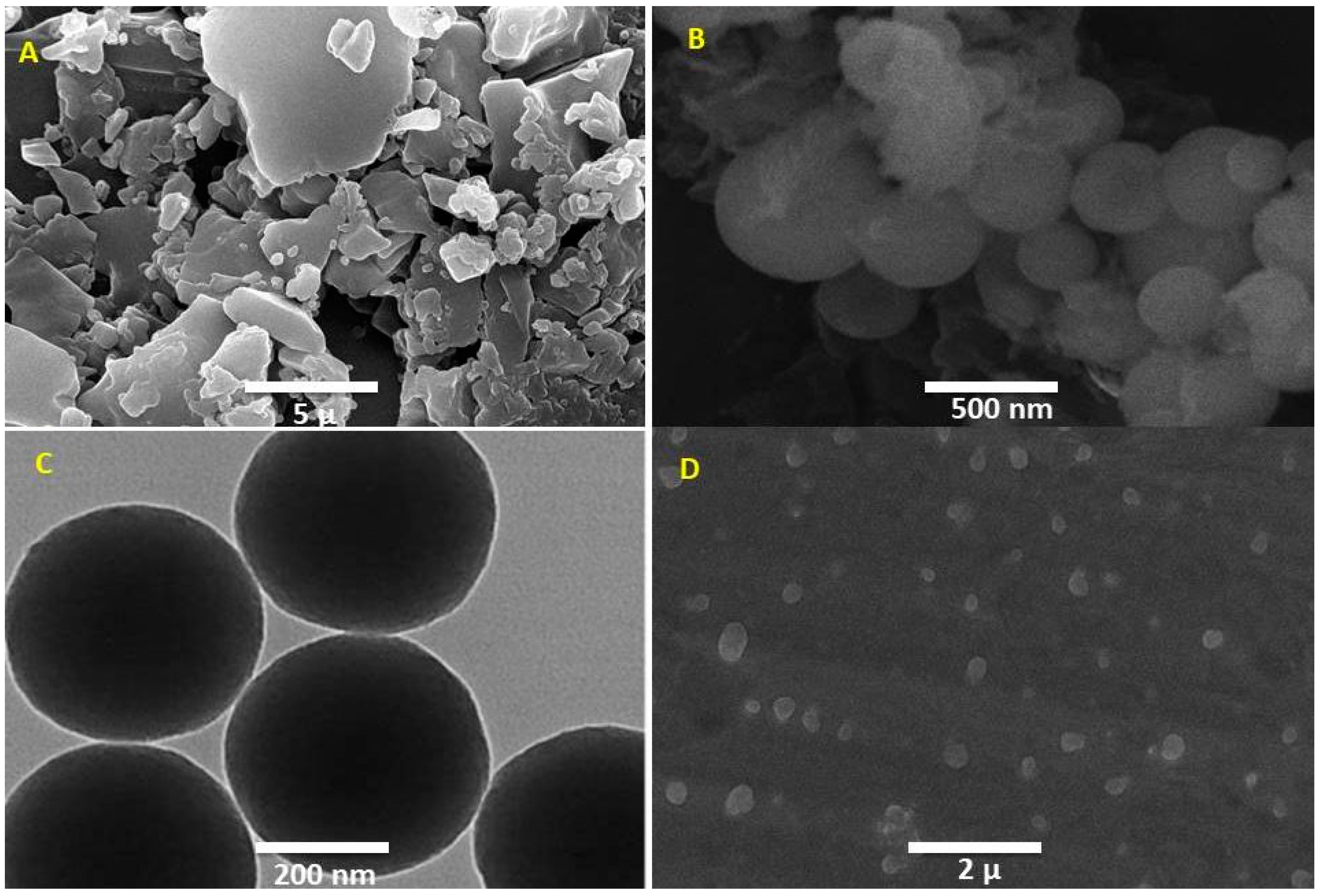 Jfb 13 00229 g005 Jfb 13 00229 g005