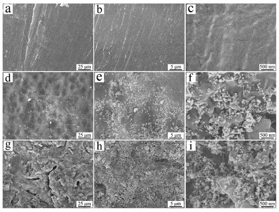 Poly (Butylene Succinate)/Silicon Nitride Nanocomposite with