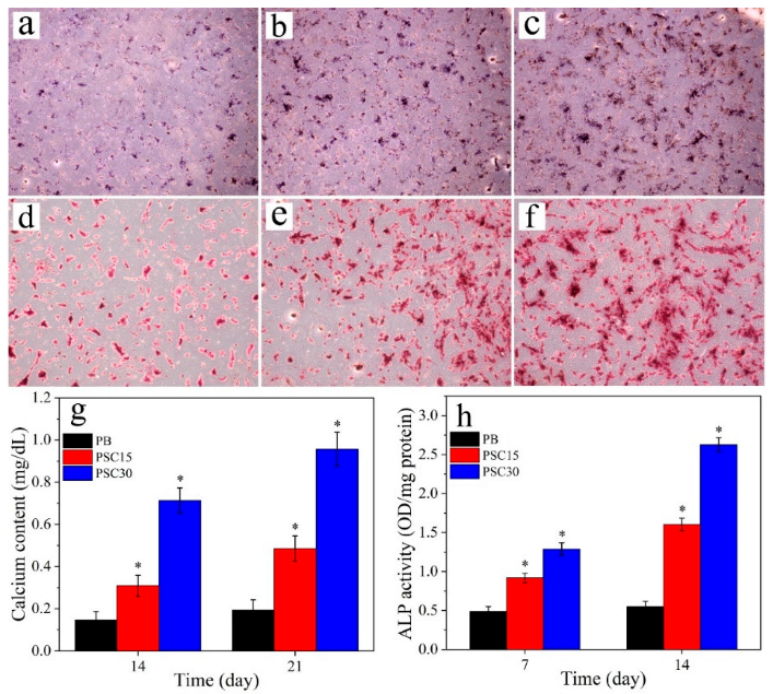 Poly (Butylene Succinate)/Silicon Nitride Nanocomposite with Optimized Physicochemical Properties, Biocompatibility, Degradability, and Osteogenesis for Cranial Bone Repair Poly (Butylene Succinate)/Silicon Nitride Nanocomposite with Optimized Physicochemical Properties, Biocompatibility, Degradability, and Osteogenesis for Cranial Bone Repair