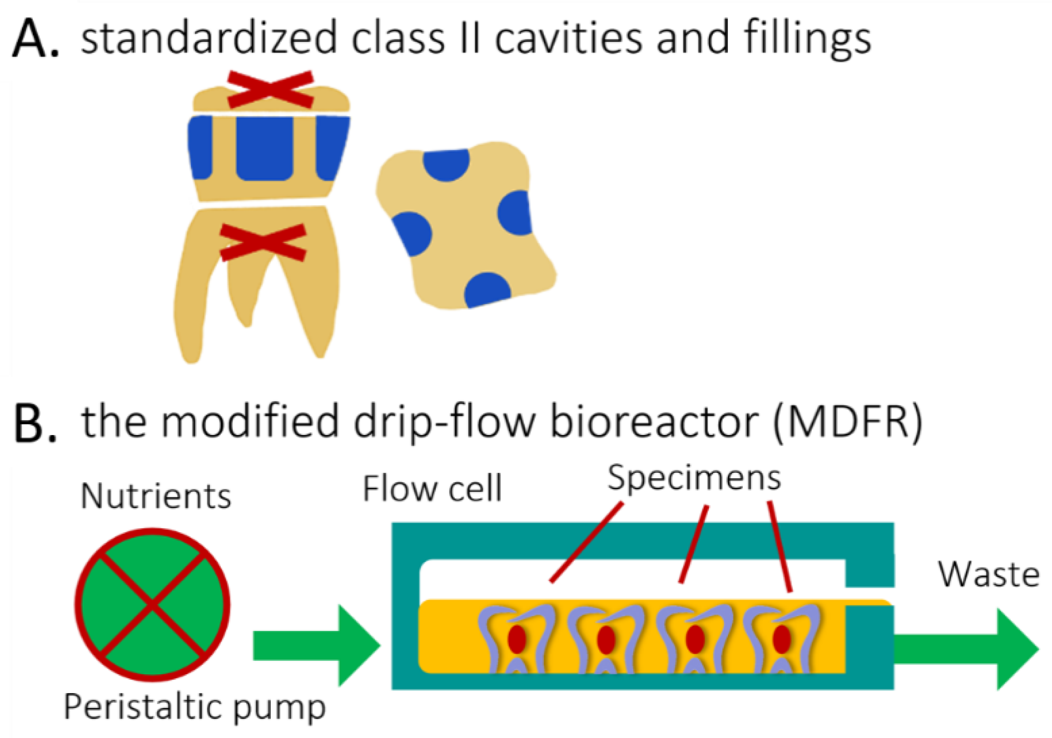 Jfb 13 00232 g003 Jfb 13 00232 g003