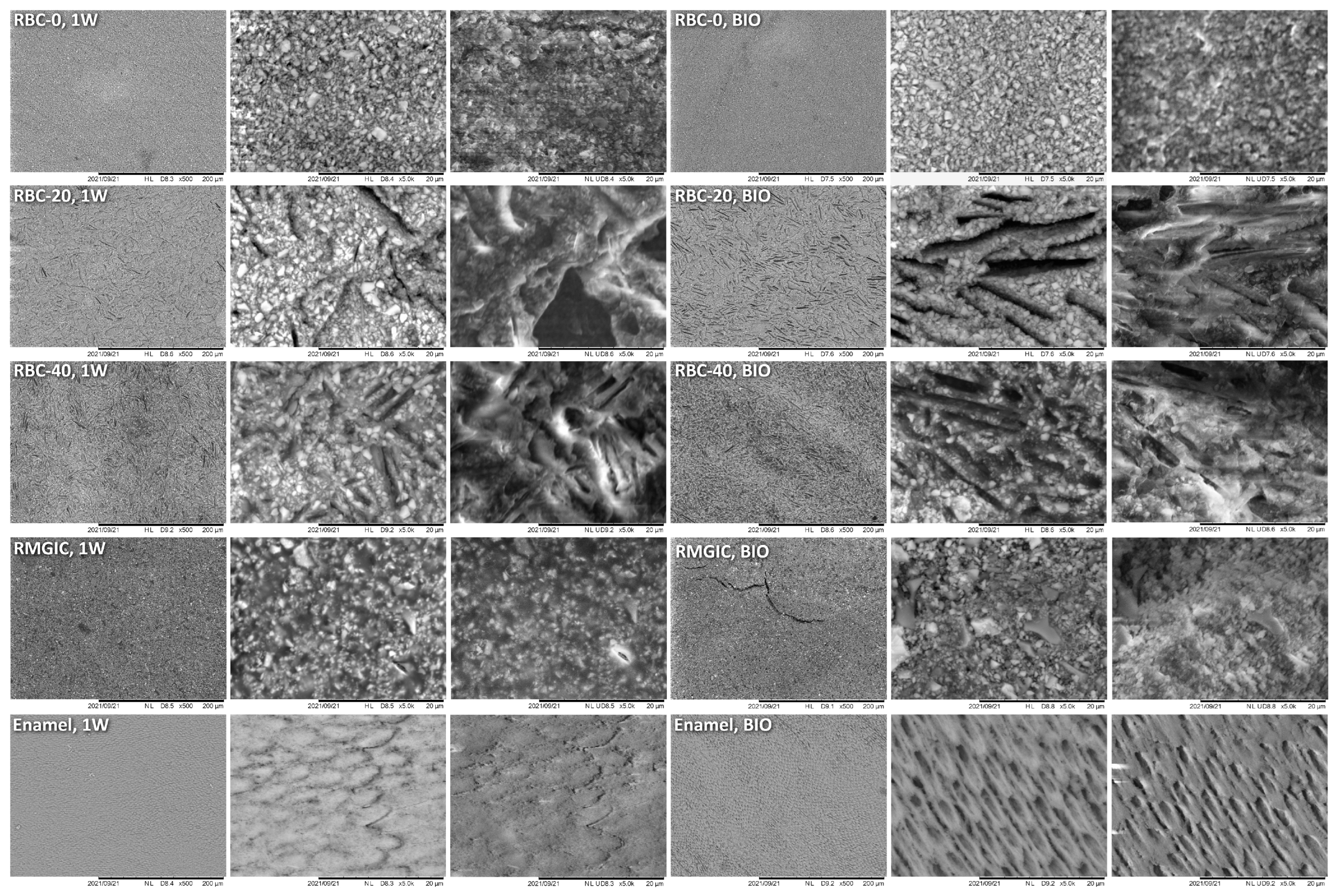 Jfb 13 00232 g005 Jfb 13 00232 g005