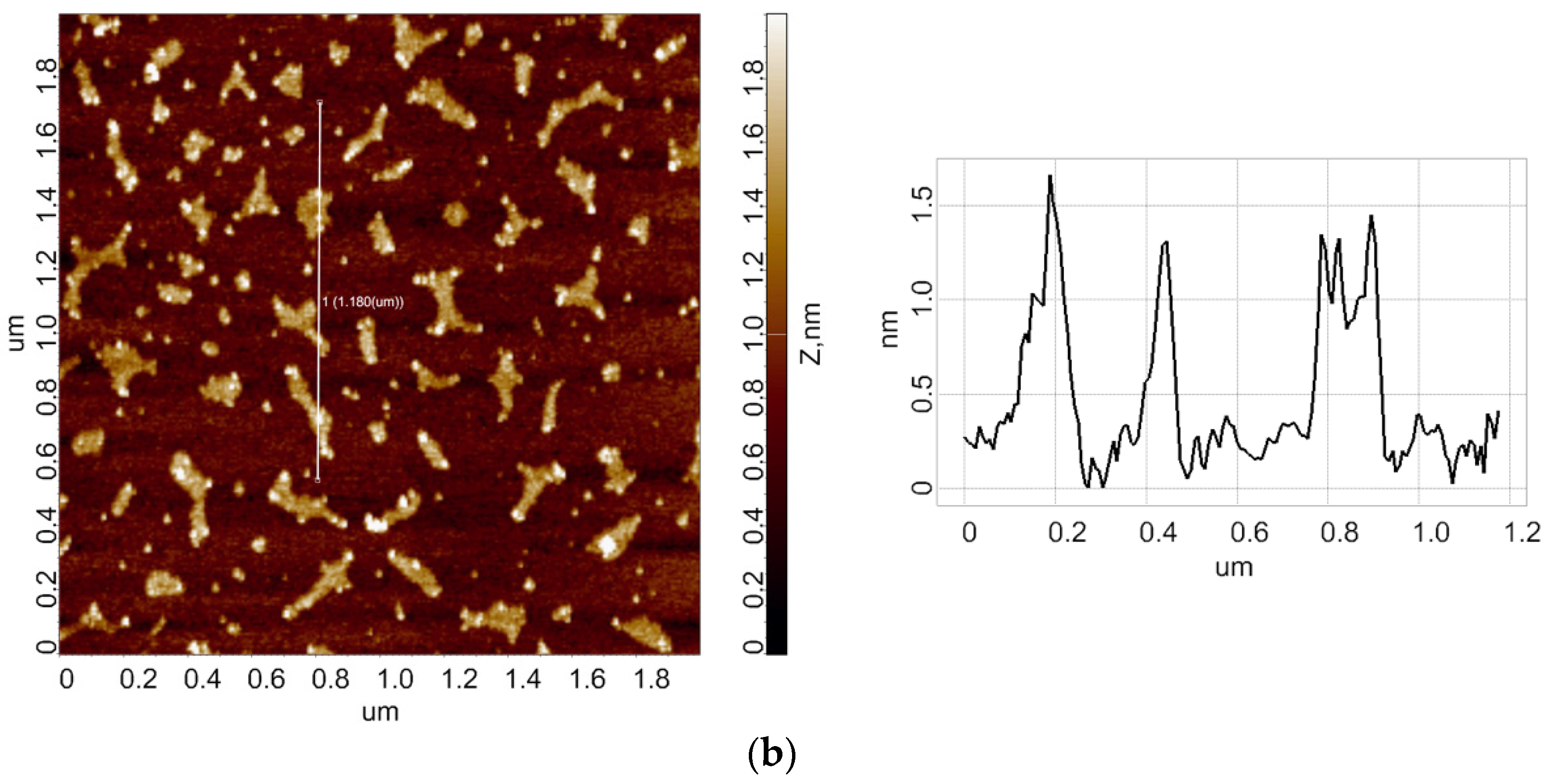 Jfb 13 00234 g002b Jfb 13 00234 g002b