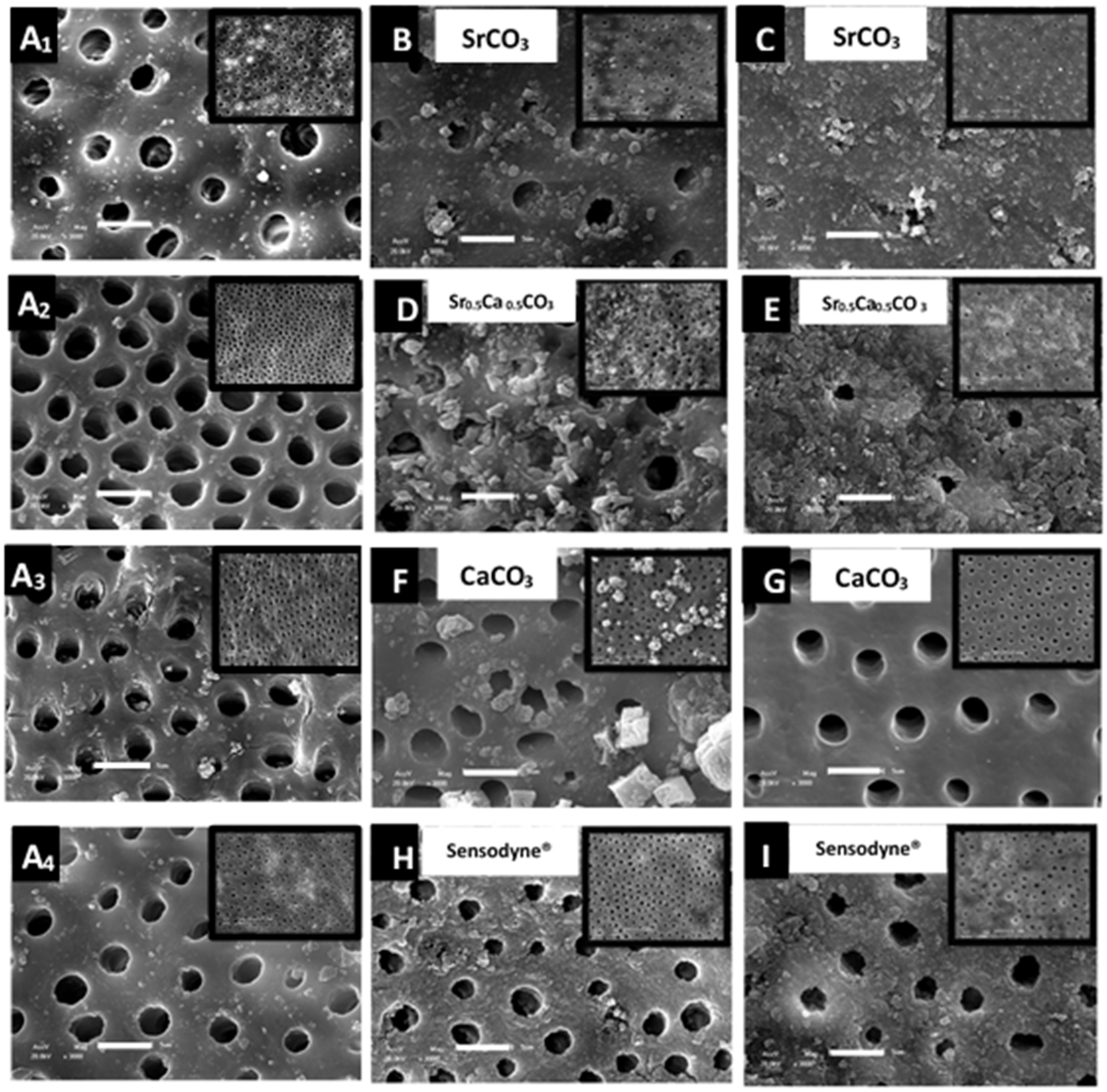 Jfb 13 00250 g006 Jfb 13 00250 g006