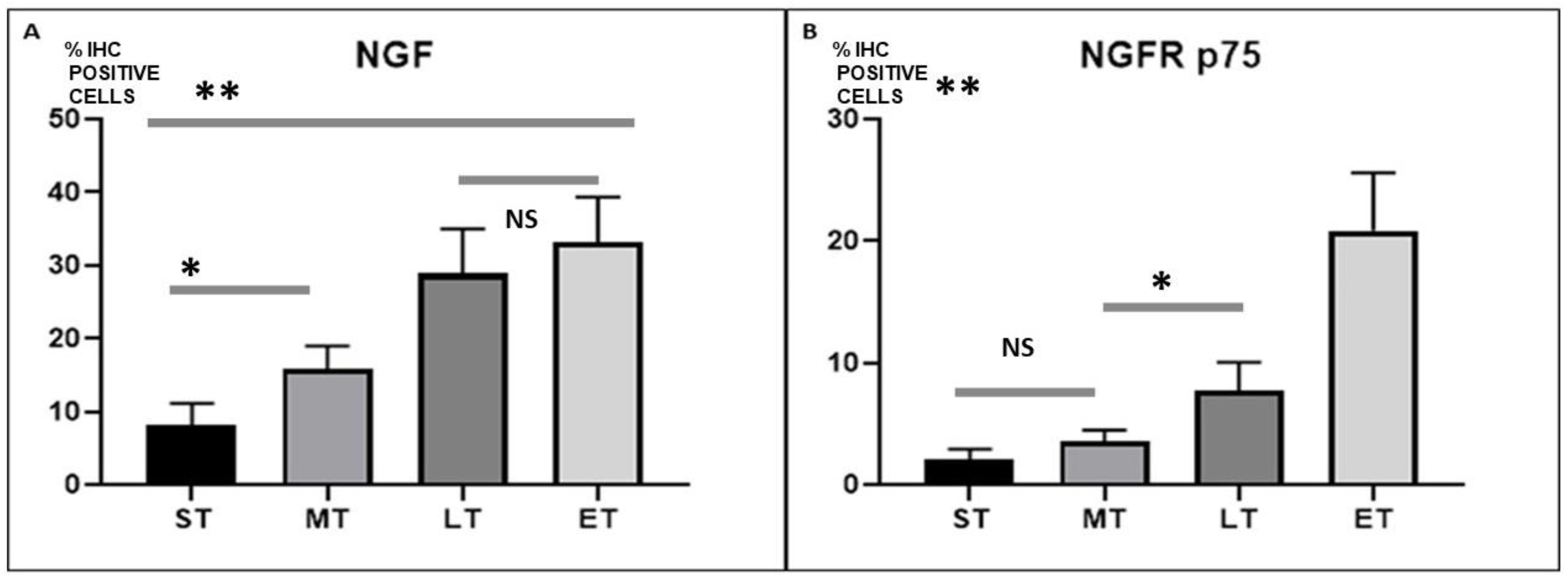 Jfb 13 00253 g006 Jfb 13 00253 g006