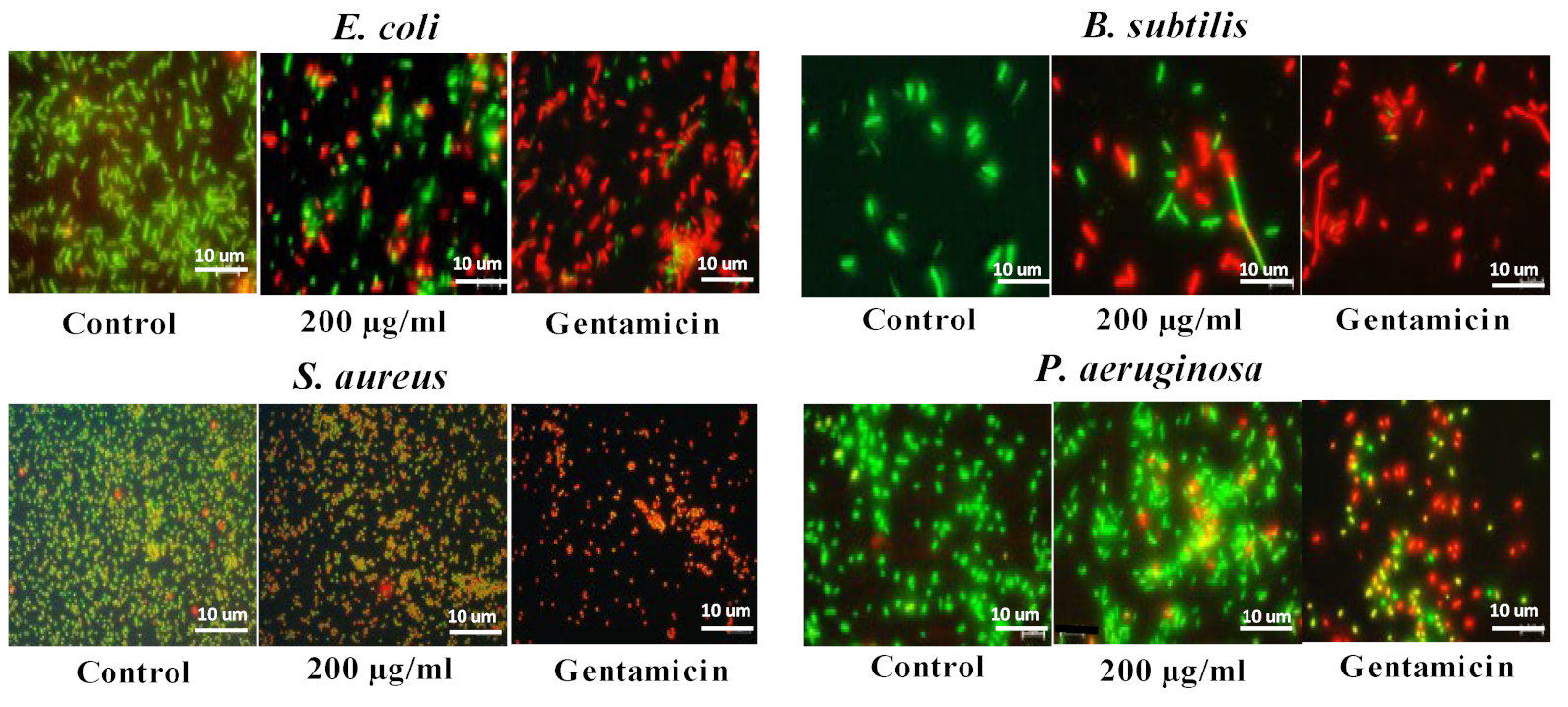 Jfb 13 00255 g006 Jfb 13 00255 g006