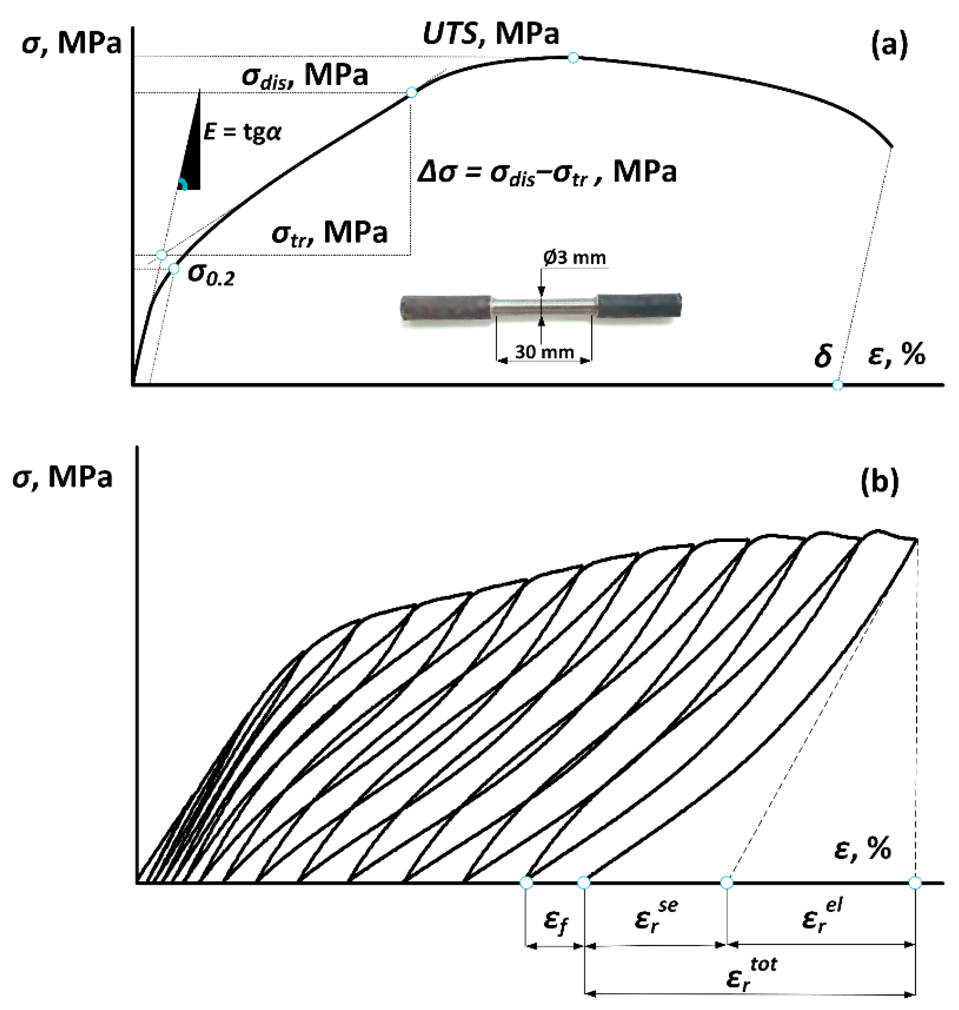 Jfb 13 00259 g002 Jfb 13 00259 g002