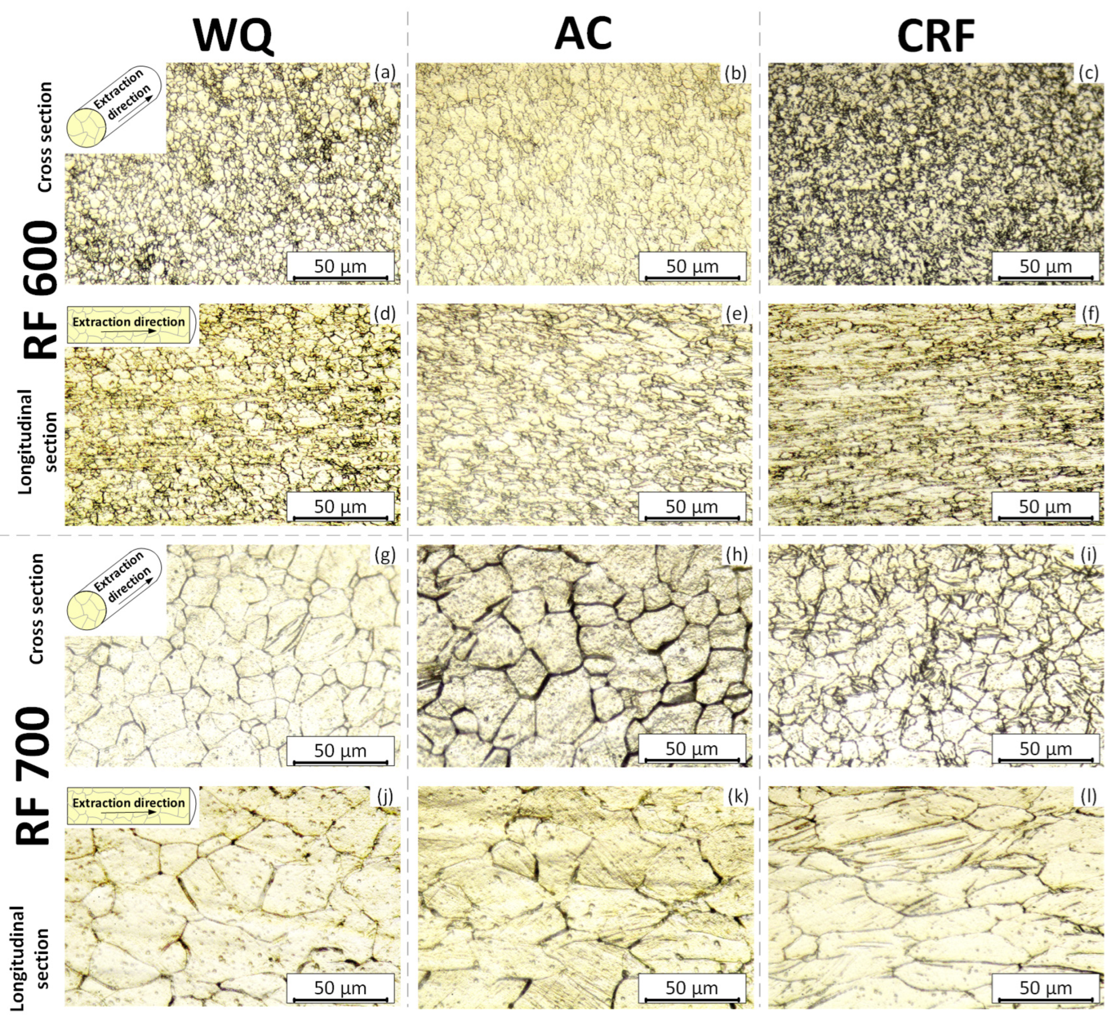 Jfb 13 00259 g003 Jfb 13 00259 g003