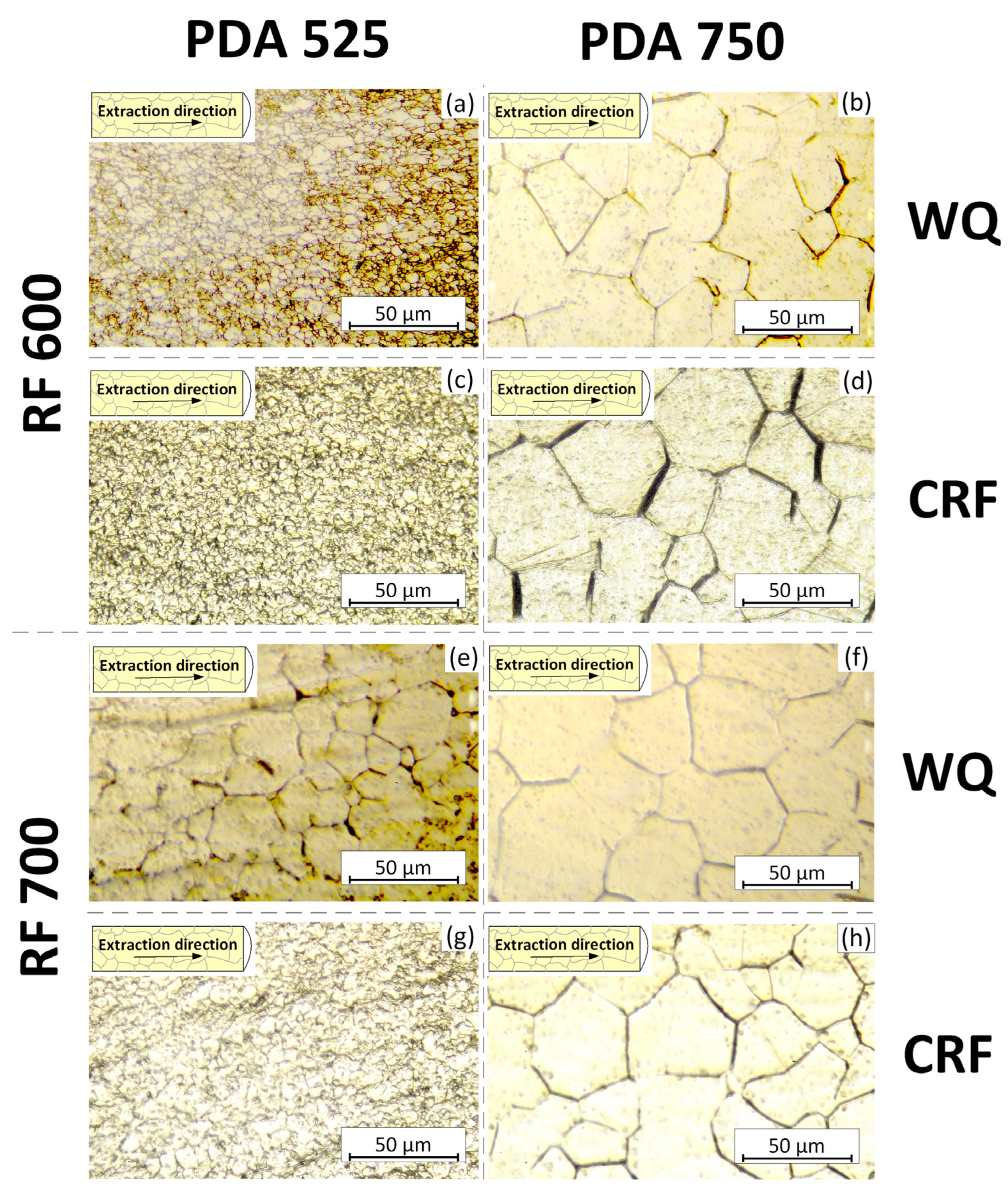 Jfb 13 00259 g004 Jfb 13 00259 g004