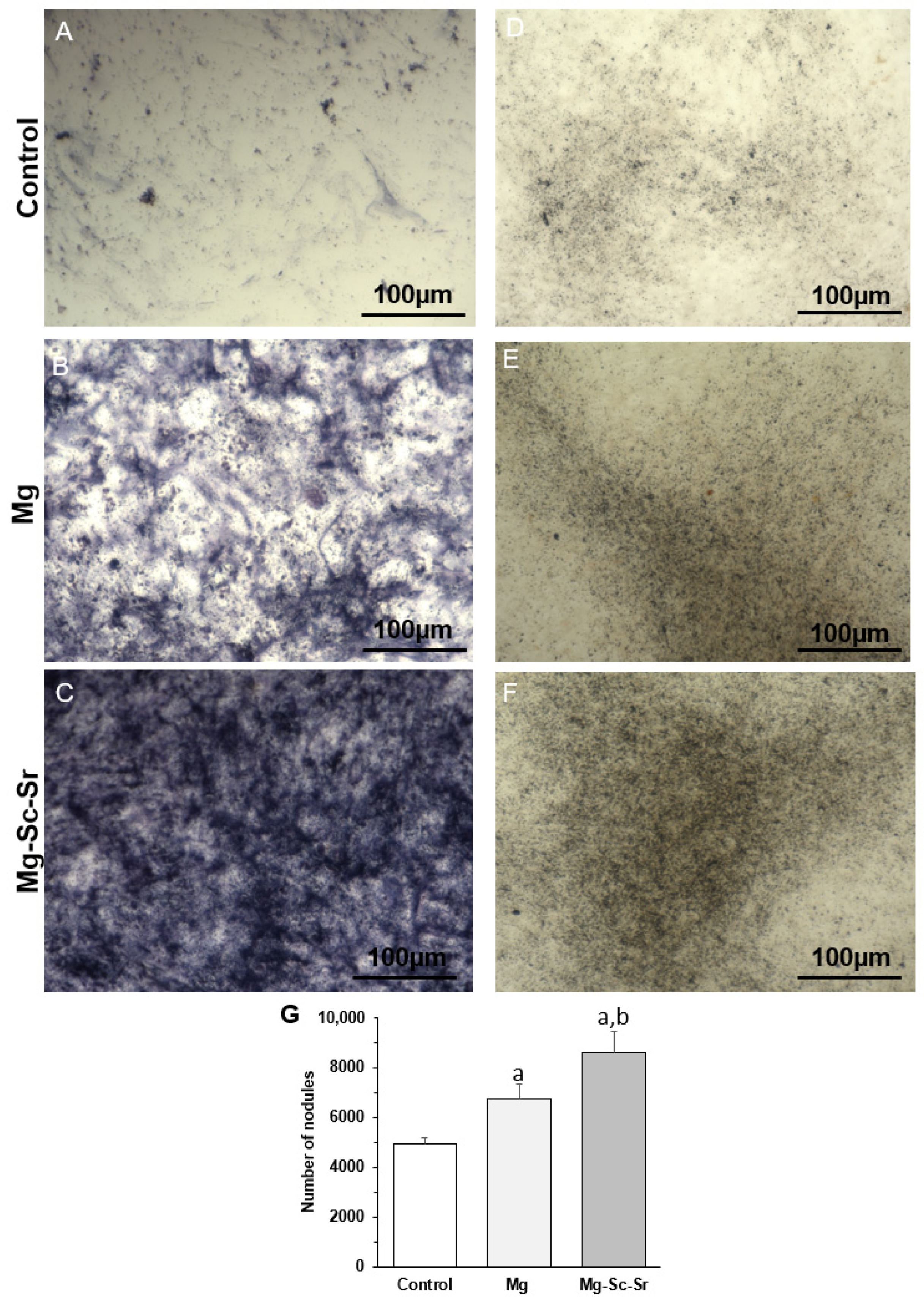 Jfb 13 00261 g007 Jfb 13 00261 g007