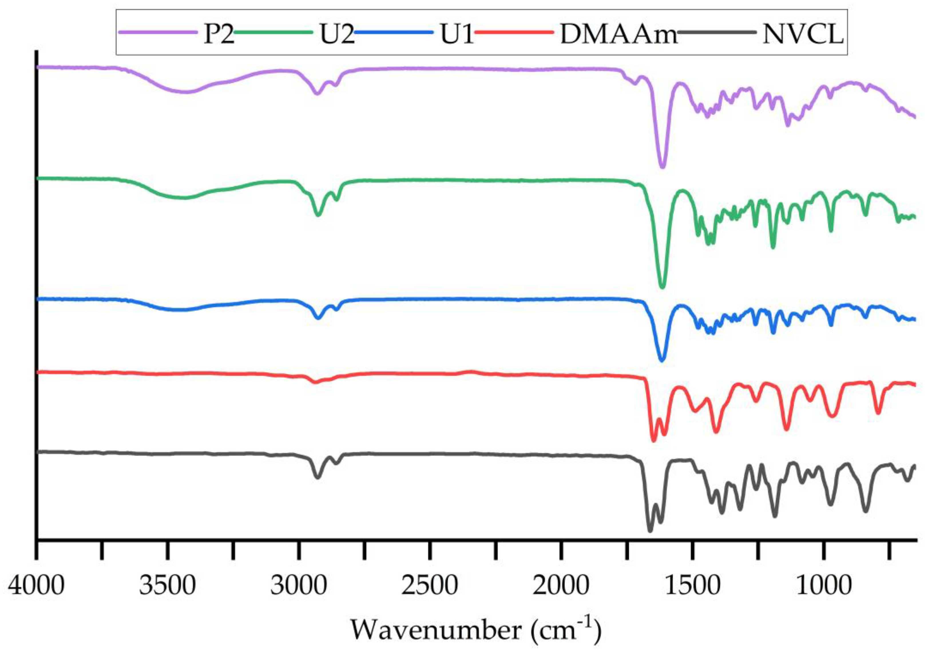 Jfb 13 00262 g005 Jfb 13 00262 g005