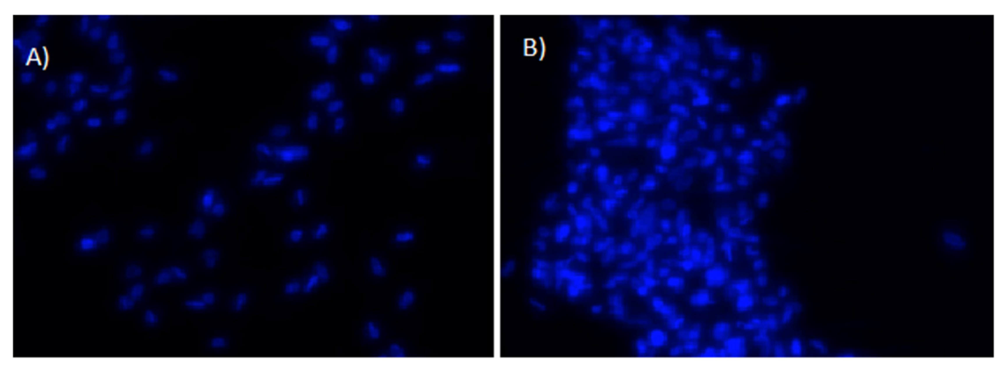 Jfb 13 00265 g004 Jfb 13 00265 g004