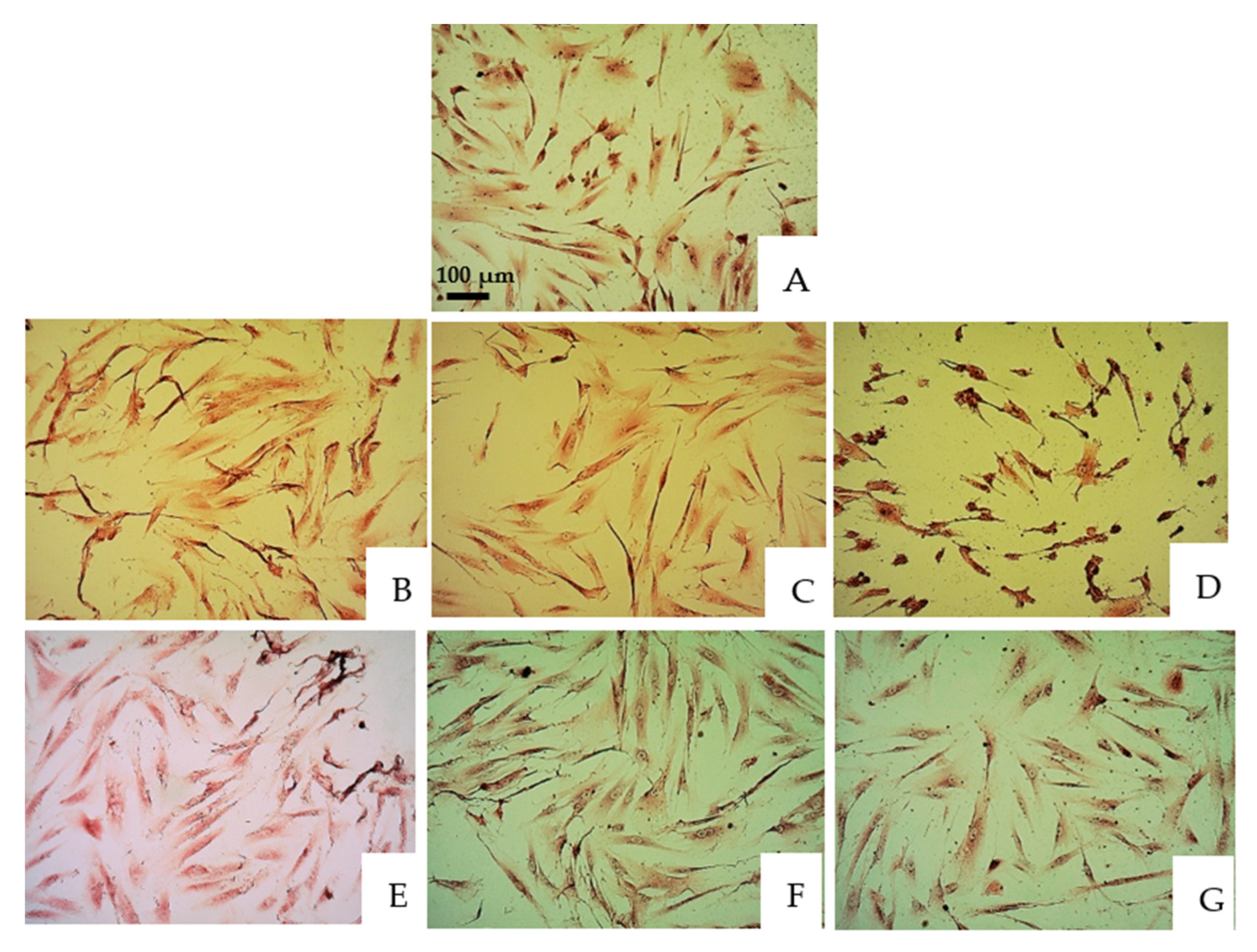 Jfb 13 00266 g001 Jfb 13 00266 g001