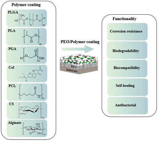 maa＊ Performance of PEO/Polymer Coatings on the Biodegradability