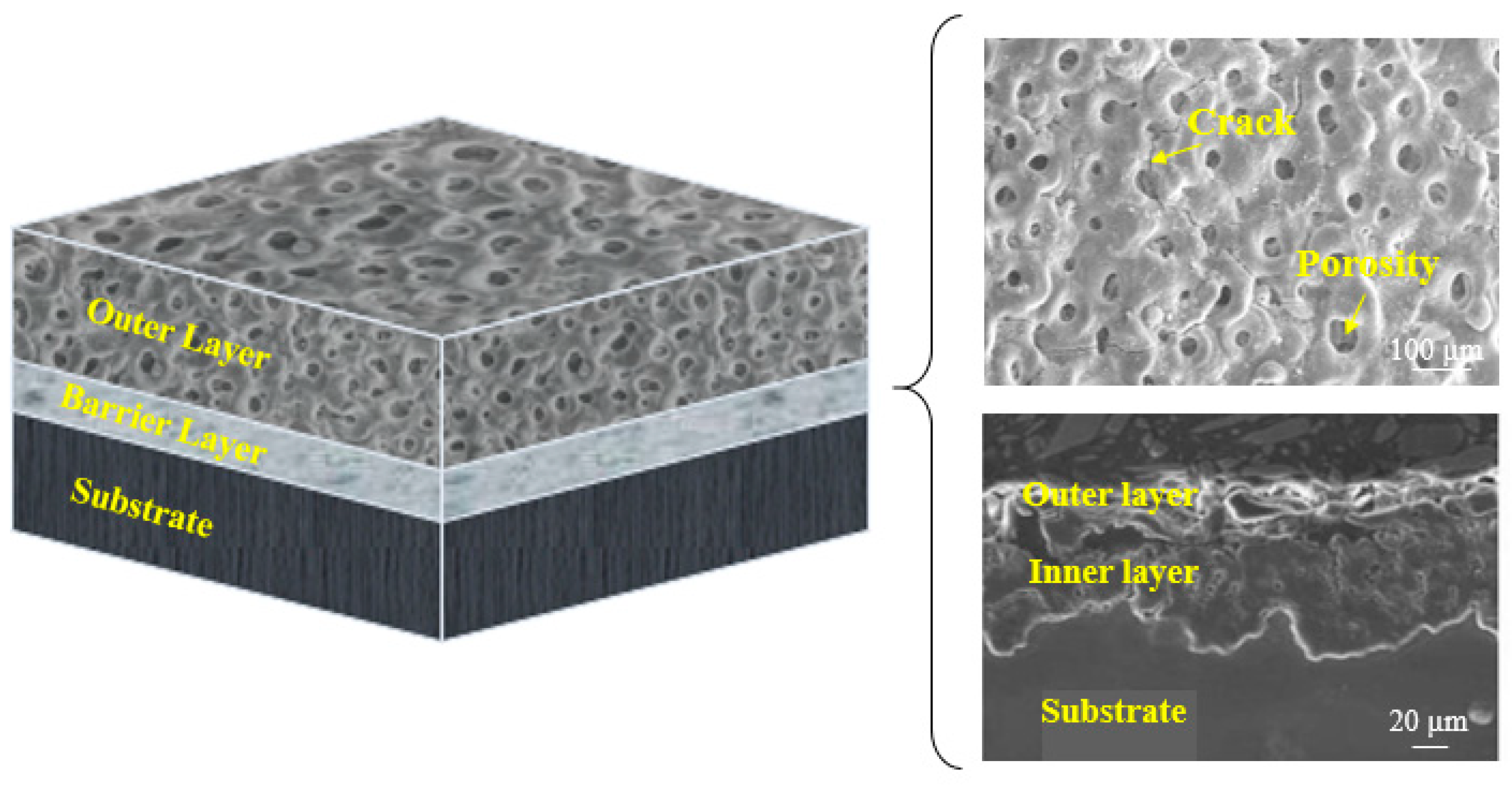 Jfb 13 00267 g004 Jfb 13 00267 g004