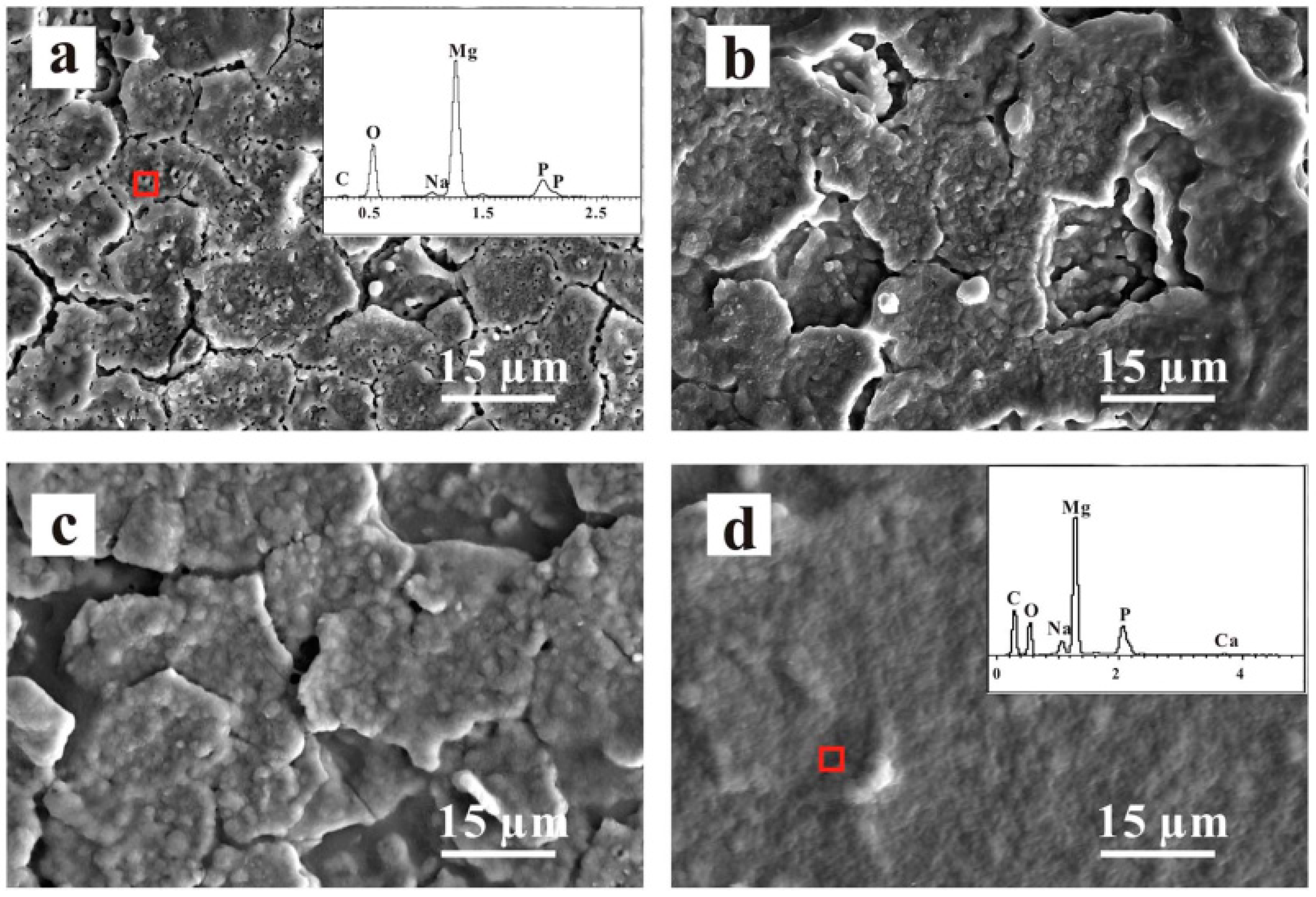 Jfb 13 00267 g005 Jfb 13 00267 g005