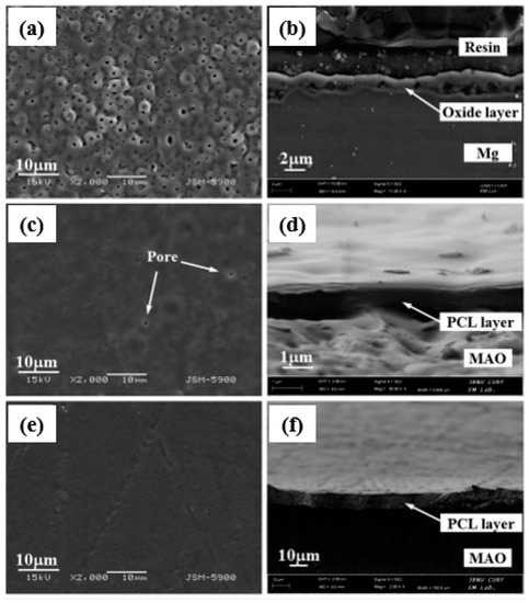 Performance of PEO/Polymer Coatings on the Biodegradability