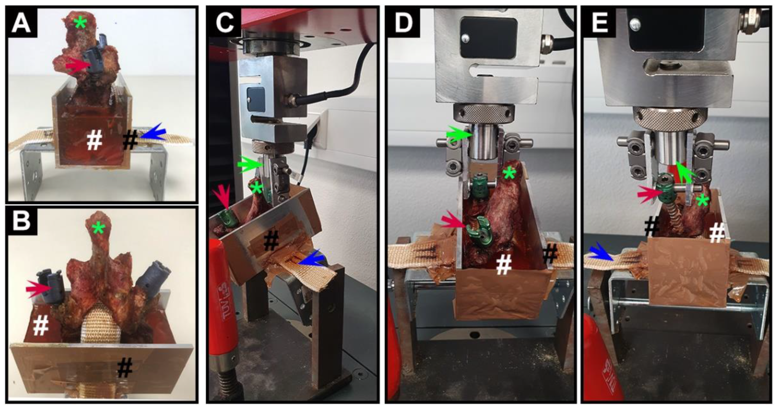 Jfb 13 00269 g002 Jfb 13 00269 g002