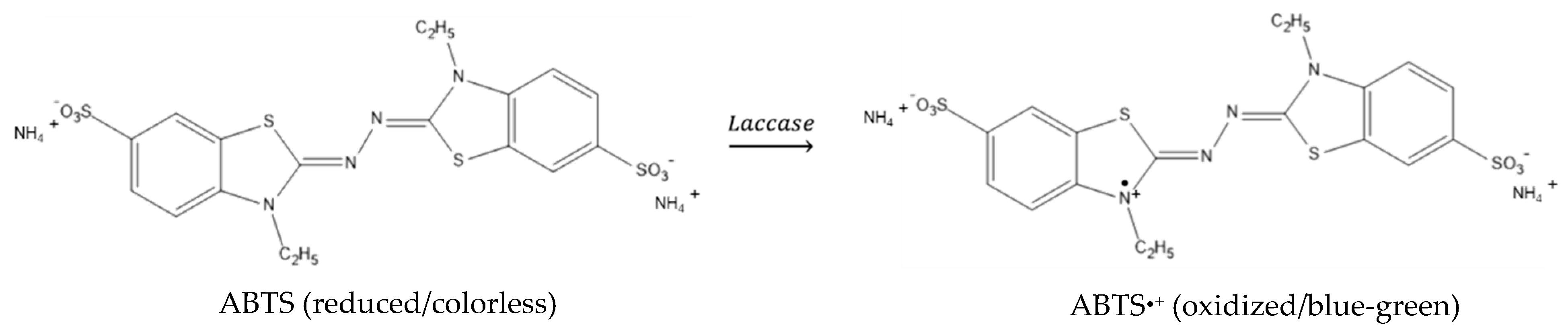 Jfb 13 00270 sch002 Jfb 13 00270 sch002