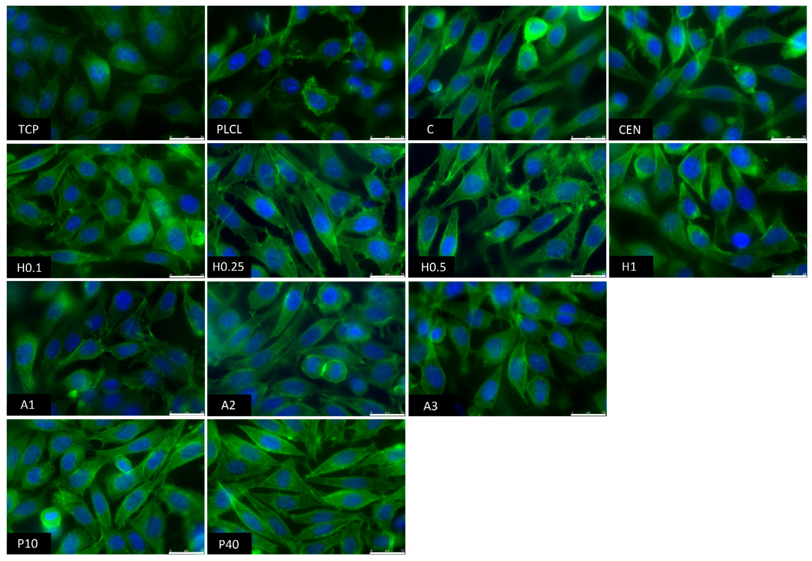 Jfb 13 00272 g016 Jfb 13 00272 g016